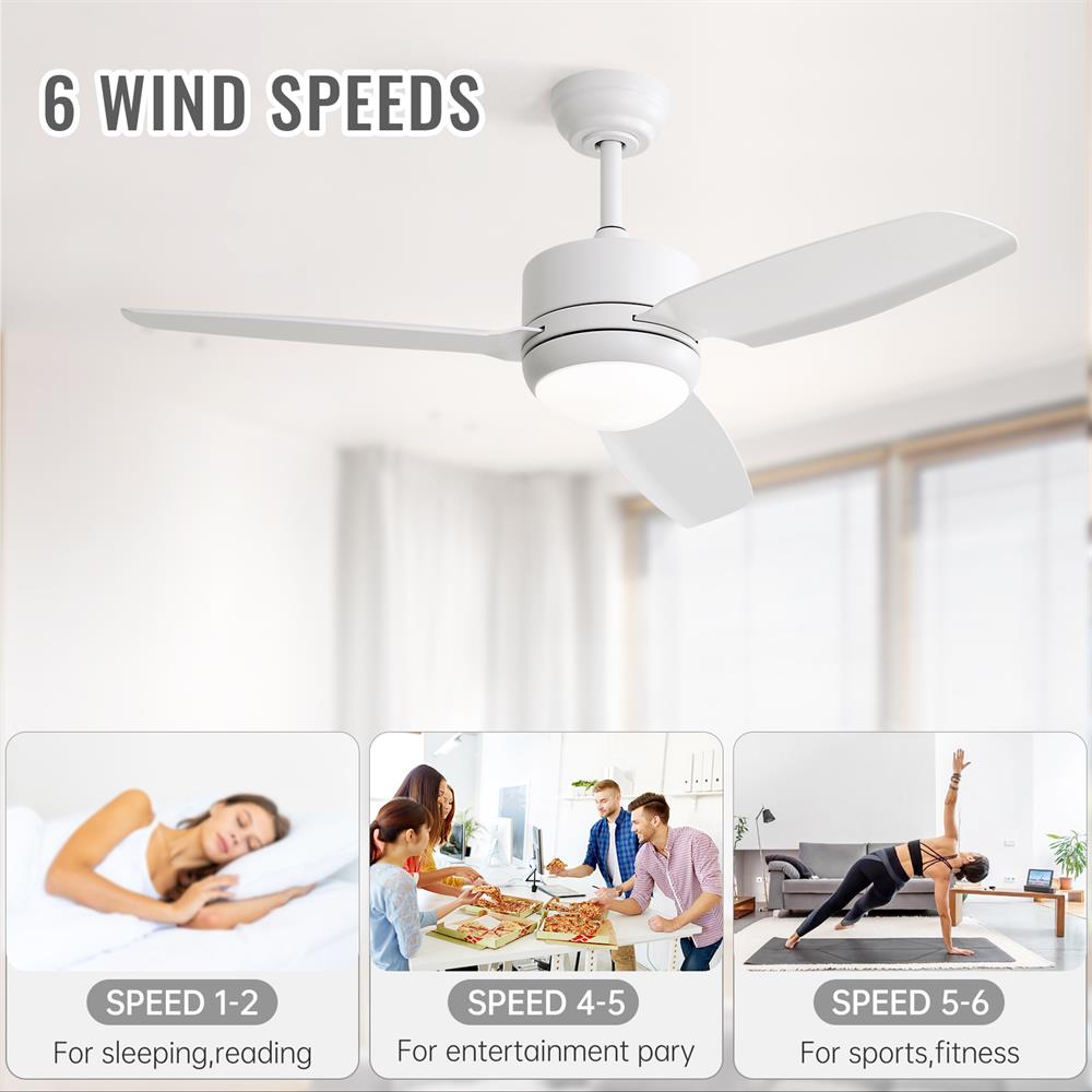 Sofucor LW-46K001-WH Ceiling-Fans - View #13