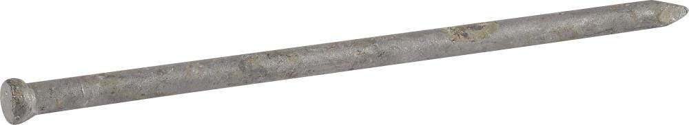 Fas-n-Tite 461306 2-1/2-in Galvanized Finish nails