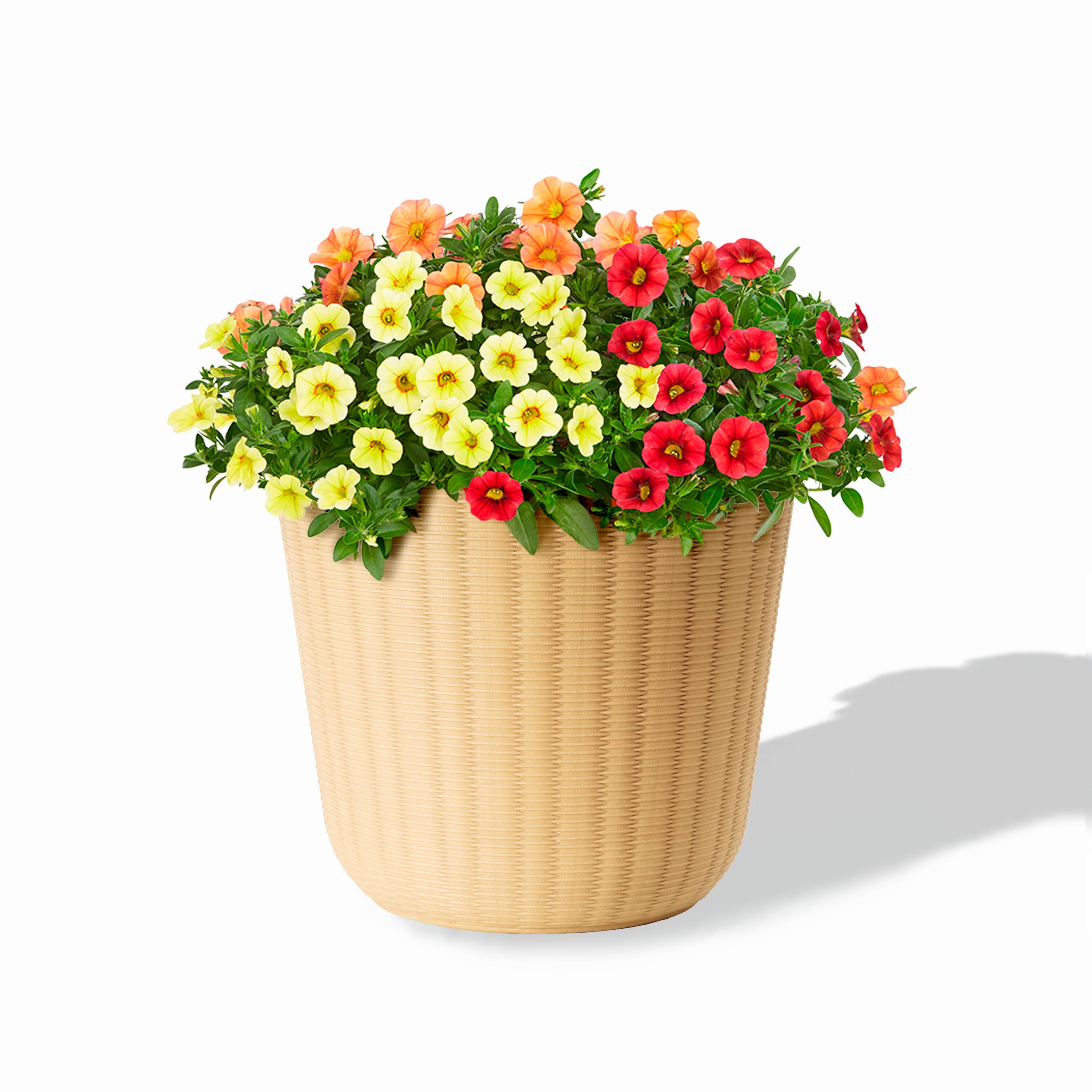 Style Selections DP2151P Planter-Window-Box - View #2