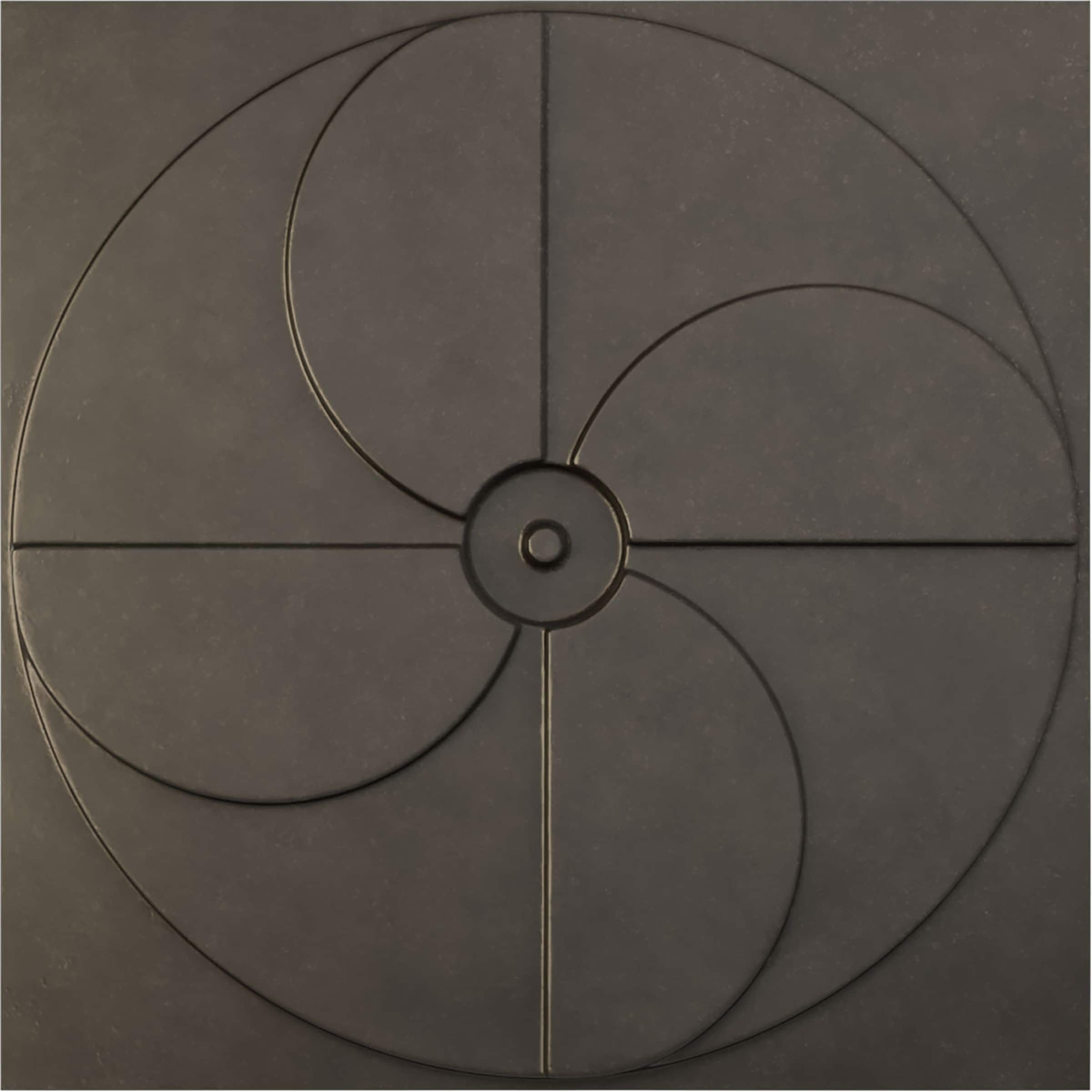 Ekena Millwork WP20X20WIDST-CASE-12 19-5/8-in x 19-5/8-in Embossed Universal Aged Metallic Weathered Steel PVC Wall Panel 12 -Pack