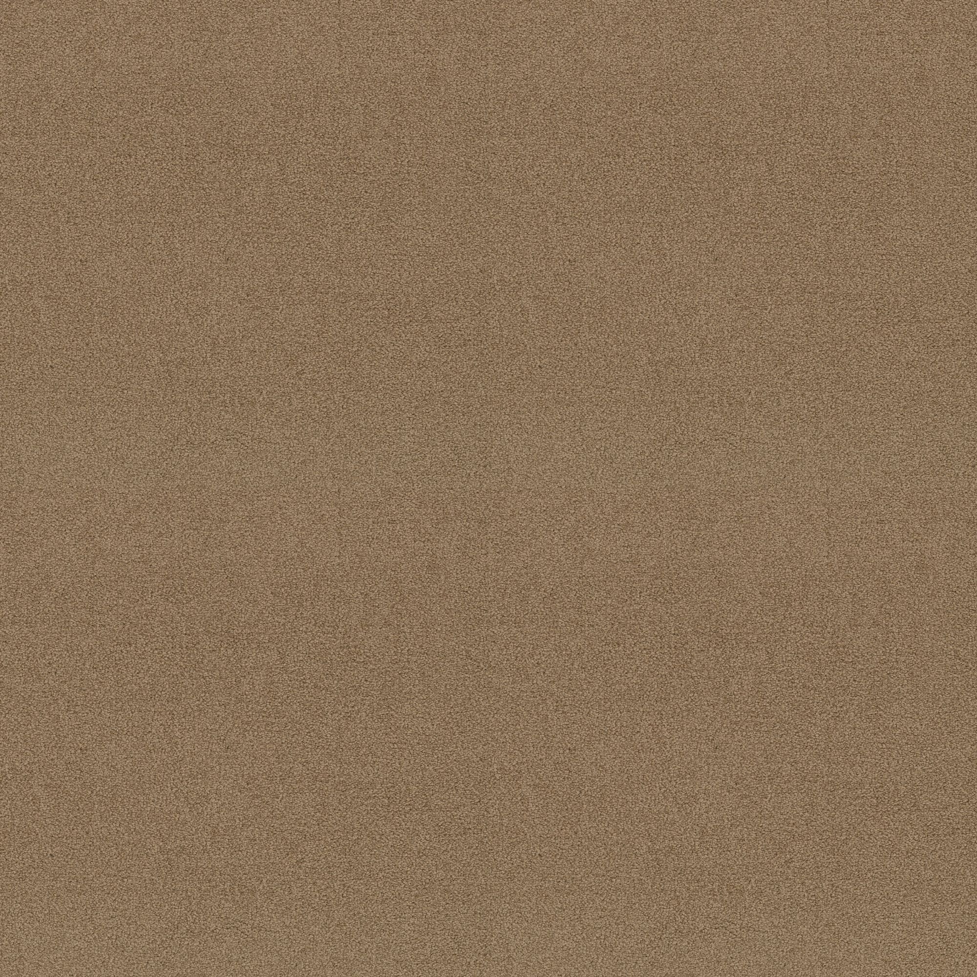 STAINMASTER PetProtect 7L882 - 700 - SAMP (Sample) Best of Breed II Twig Basket Brown 58.5-oz sq yard Nylon Textured Indoor Carpet