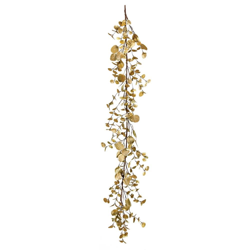 Epipremnum Pinnatum Aurea [ID #10460508] – Zen Botanicals & Gift Shop