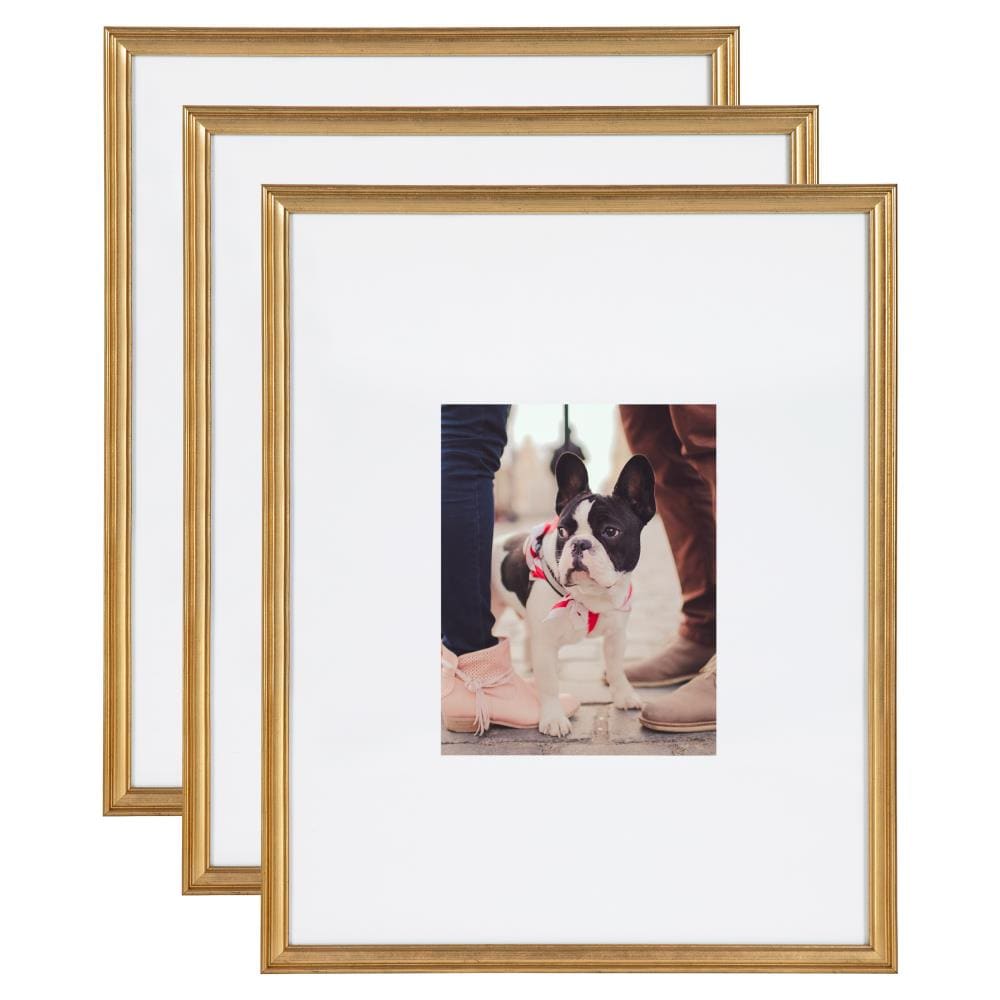 Elegant Black or White with gold matting and Gold Picture Frame