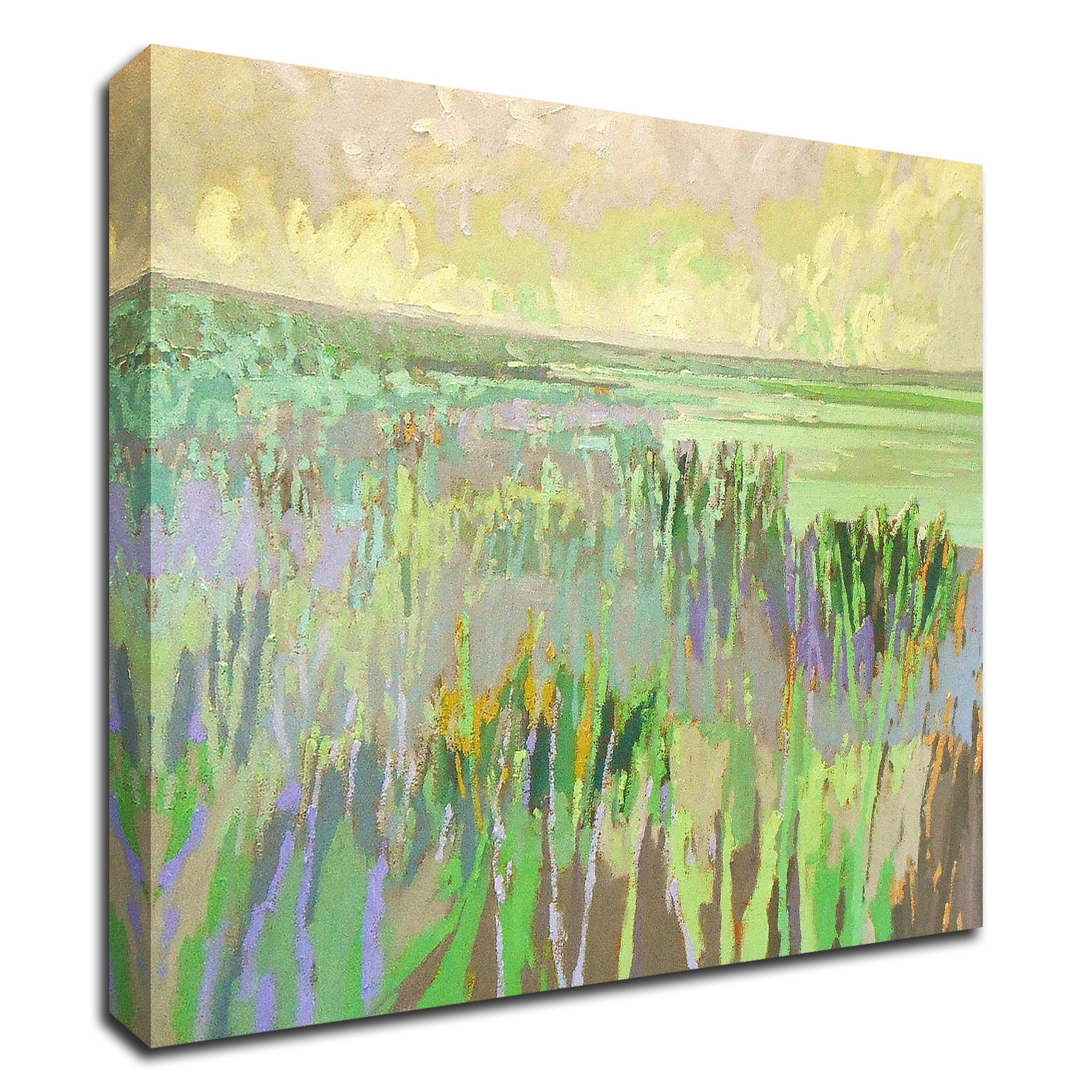 Tangletown Fine Art 8S1237DC-1414 Lake Shore Iii Jane Schmidt 14-in H x 14-in W Landscape Print on Canvas