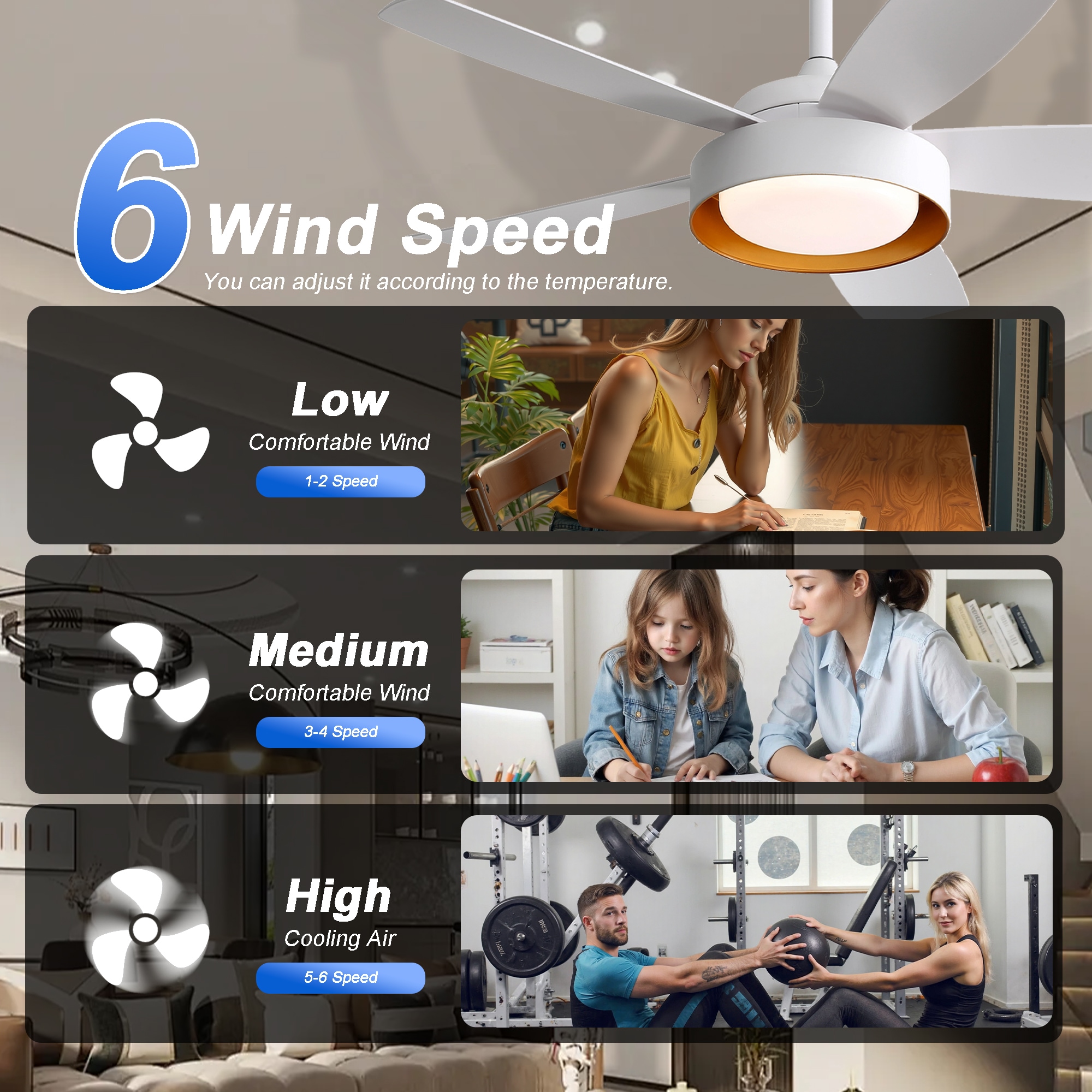 Sunrinx MG9-CF-14 Ceiling-Fans - View #10