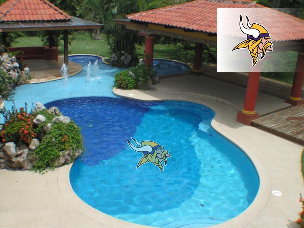 Applied Icon NFPO1903 Minnesota Vikings 59-ft Pool Graphic