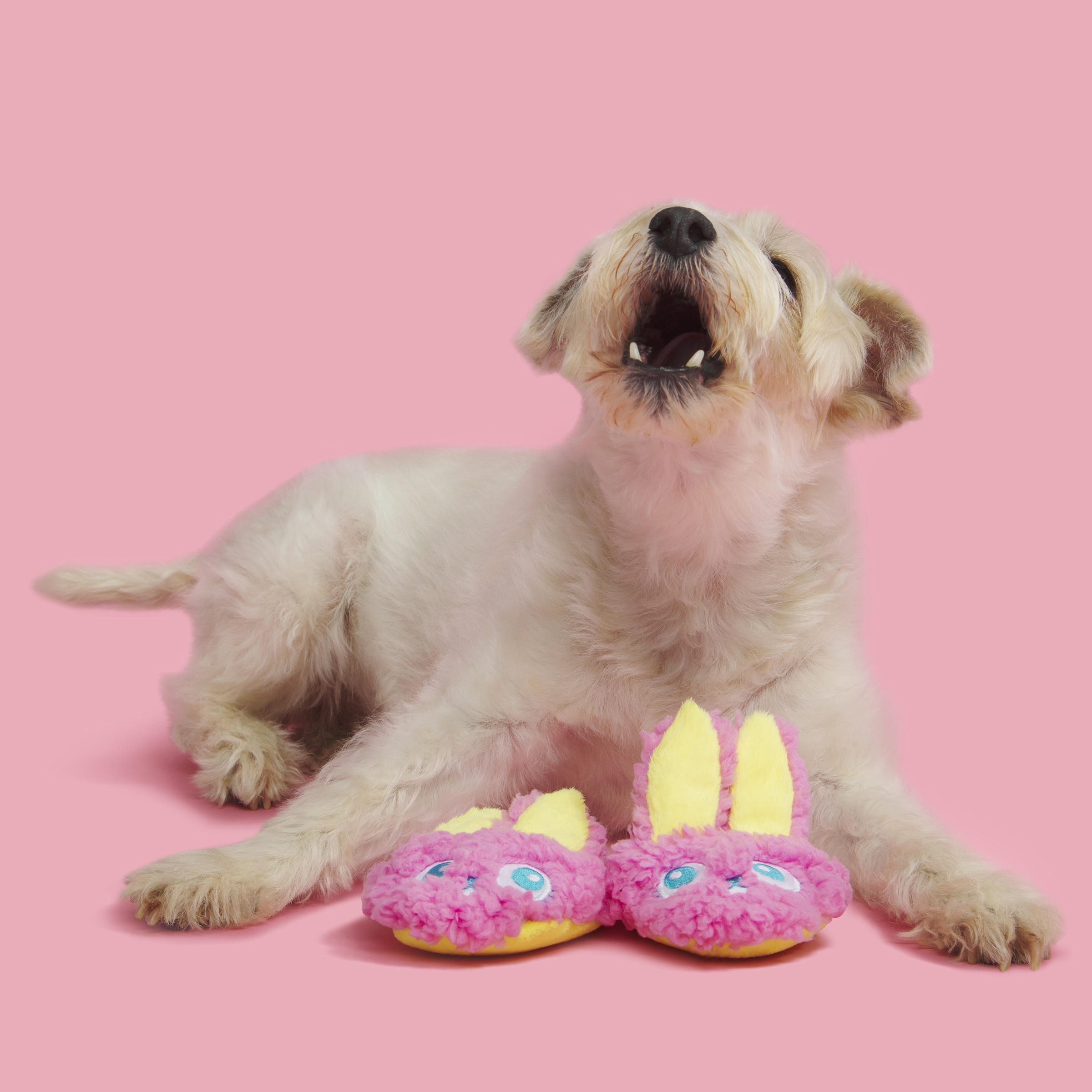 BARK 211768 Dog-Toys - View #2
