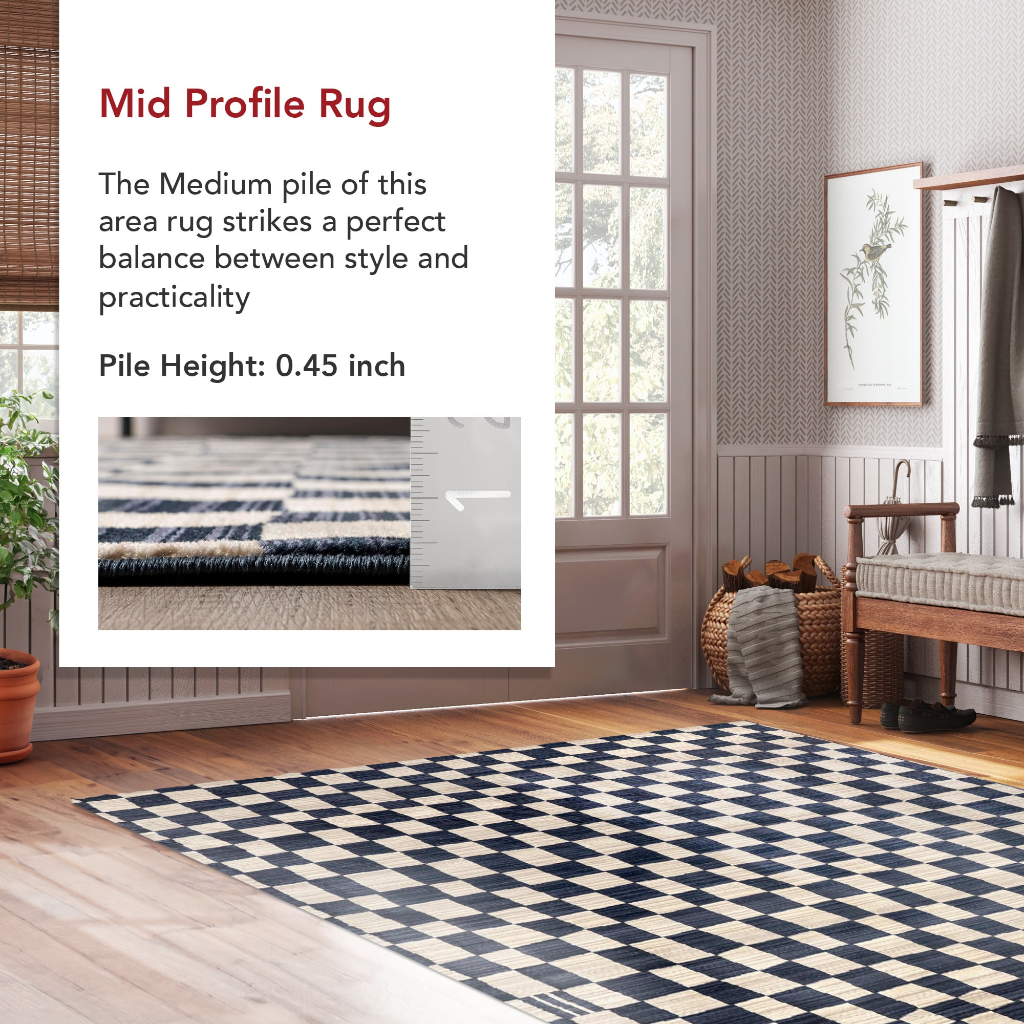 nuLOOM 200BDSN41A-12015 rugs - View #4