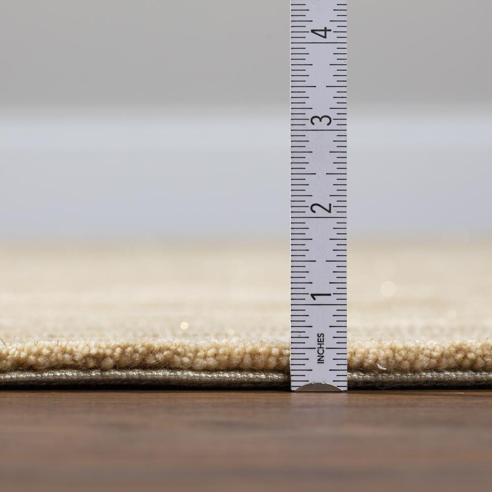 Dalyn BG2355048 rugs - View #5