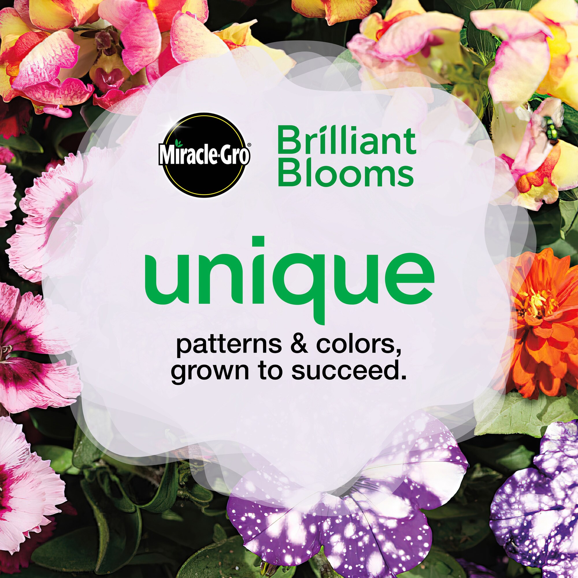 Miracle-Gro 201307 annuals - View #8