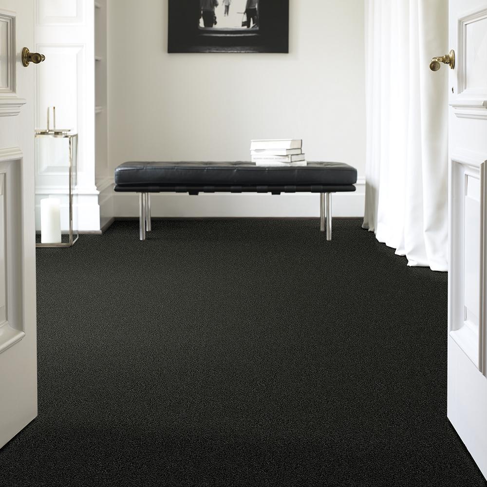 STAINMASTER 7L71700319 Carpet-Panel - View #2