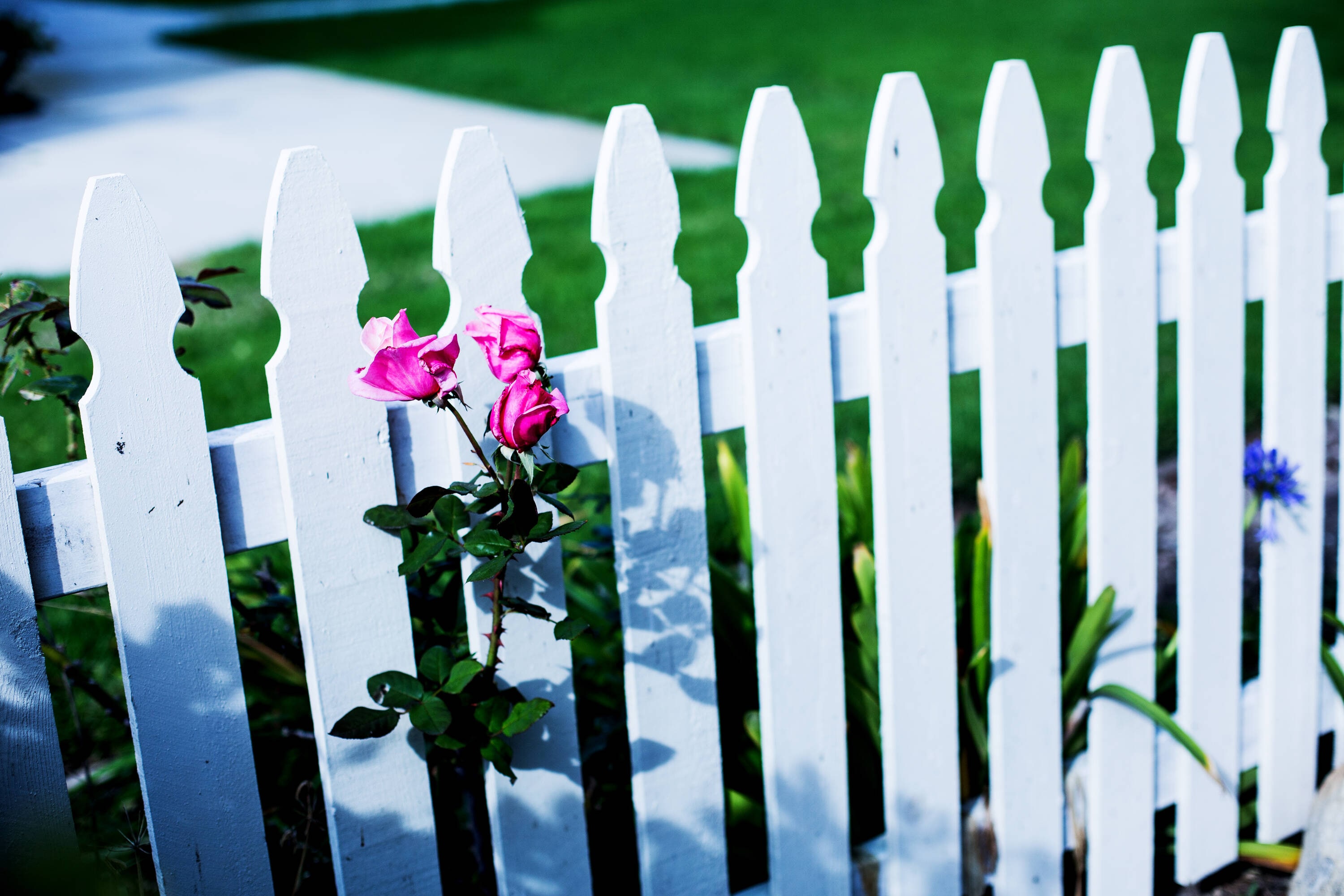 Severe Weather 73000129 Wood-Fence-Panels - View #5