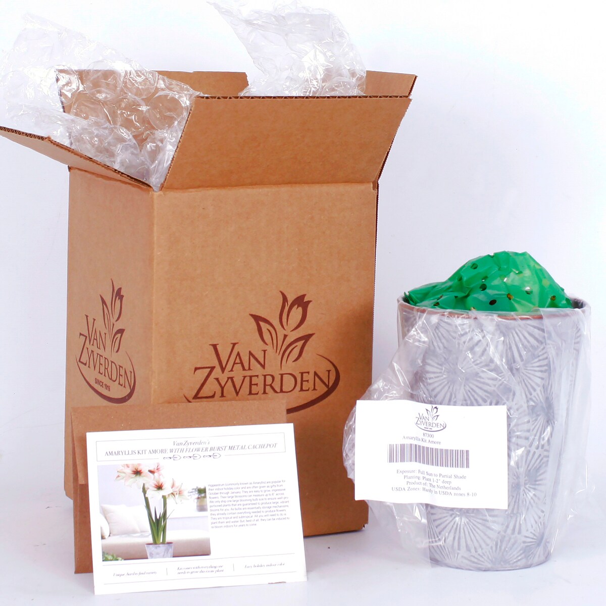 Van Zyverden 87300 Plant-Bulbs - View #4