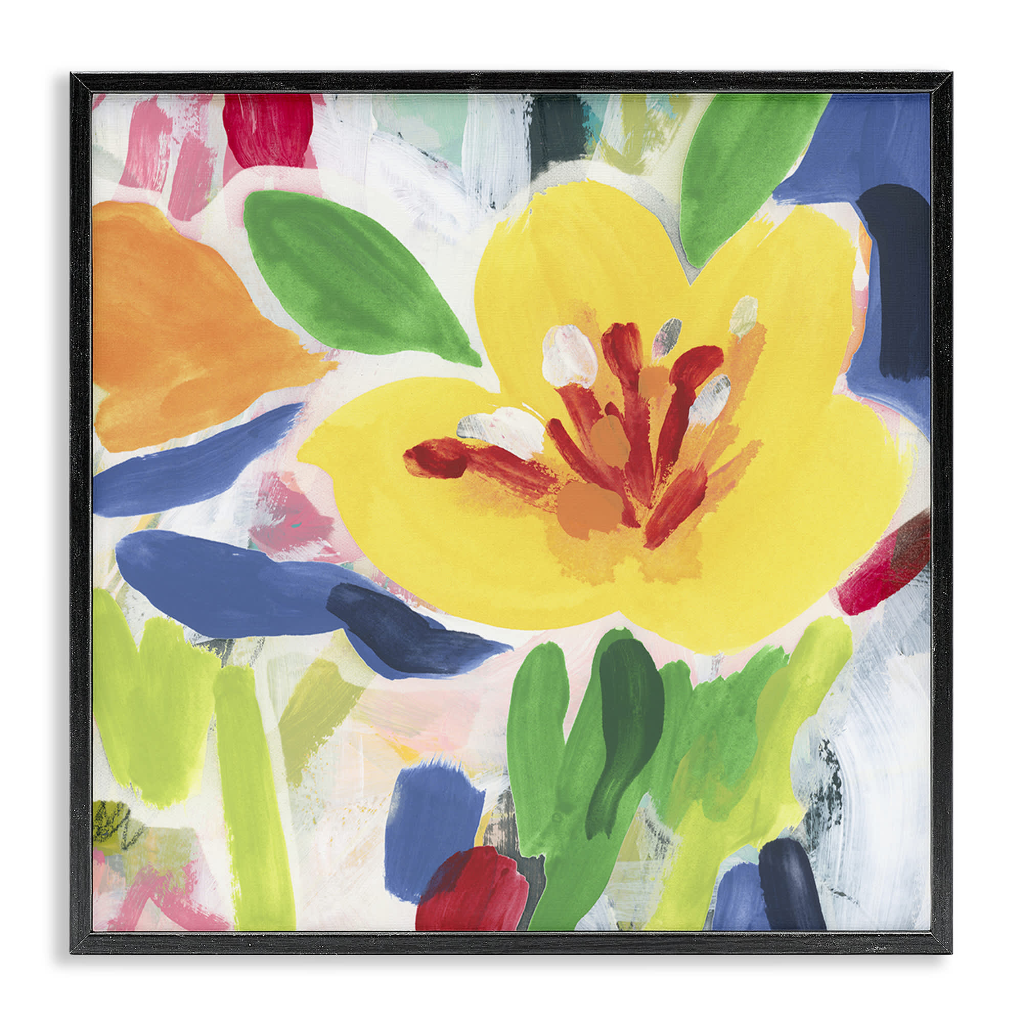 Stupell Industries BS-404-FR-12X12 Bright Yellow Buttercup Blooms Black Framed Giclee Art By June Erica Vess 12 x 12