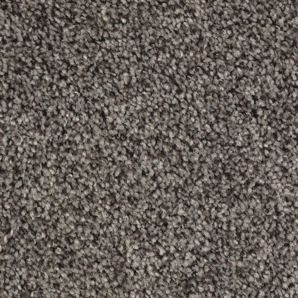 STAINMASTER (Sample) Tonal Design Walnut Shell Textured Carpet at Lowes.com