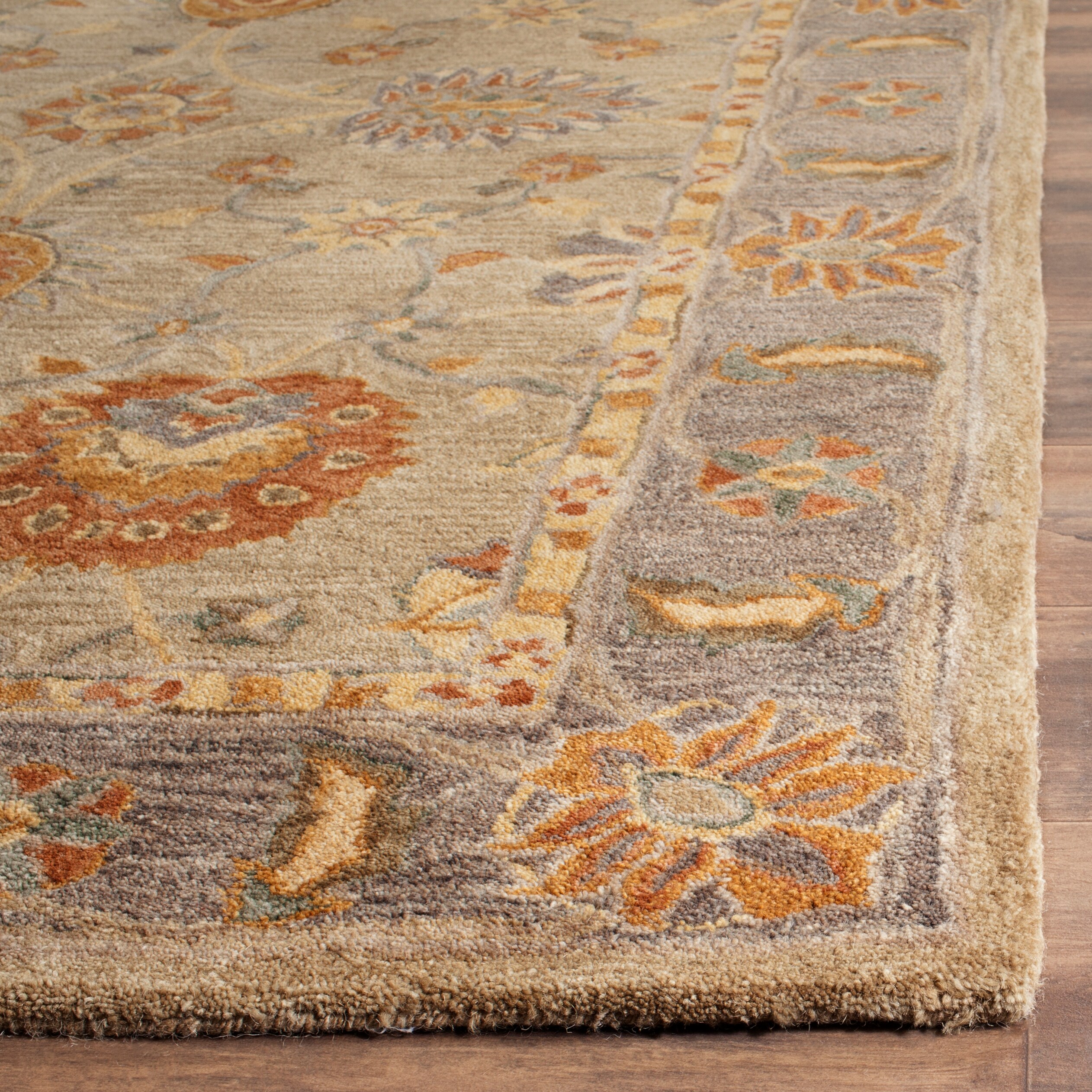 Safavieh AN561A-9 rugs - View #4