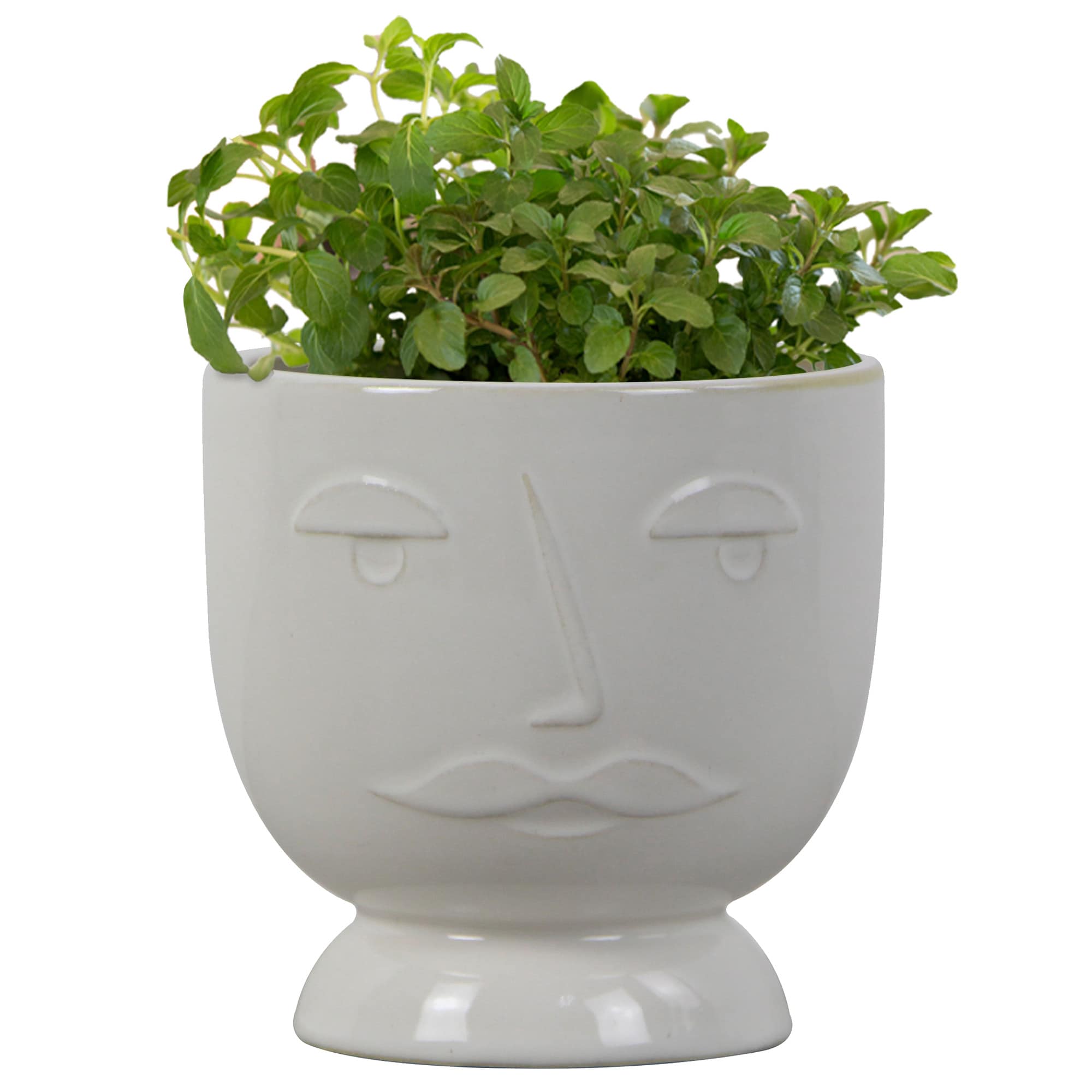 allen + roth LUCR02009N-04W Planter-Window-Box - View #2