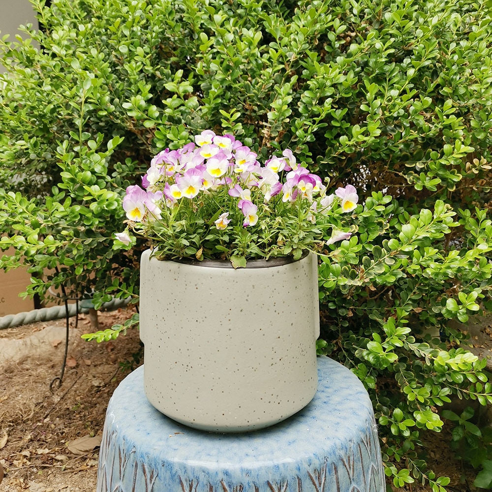 Origin 21 2326 ST2 Planter-Window-Box - View #9
