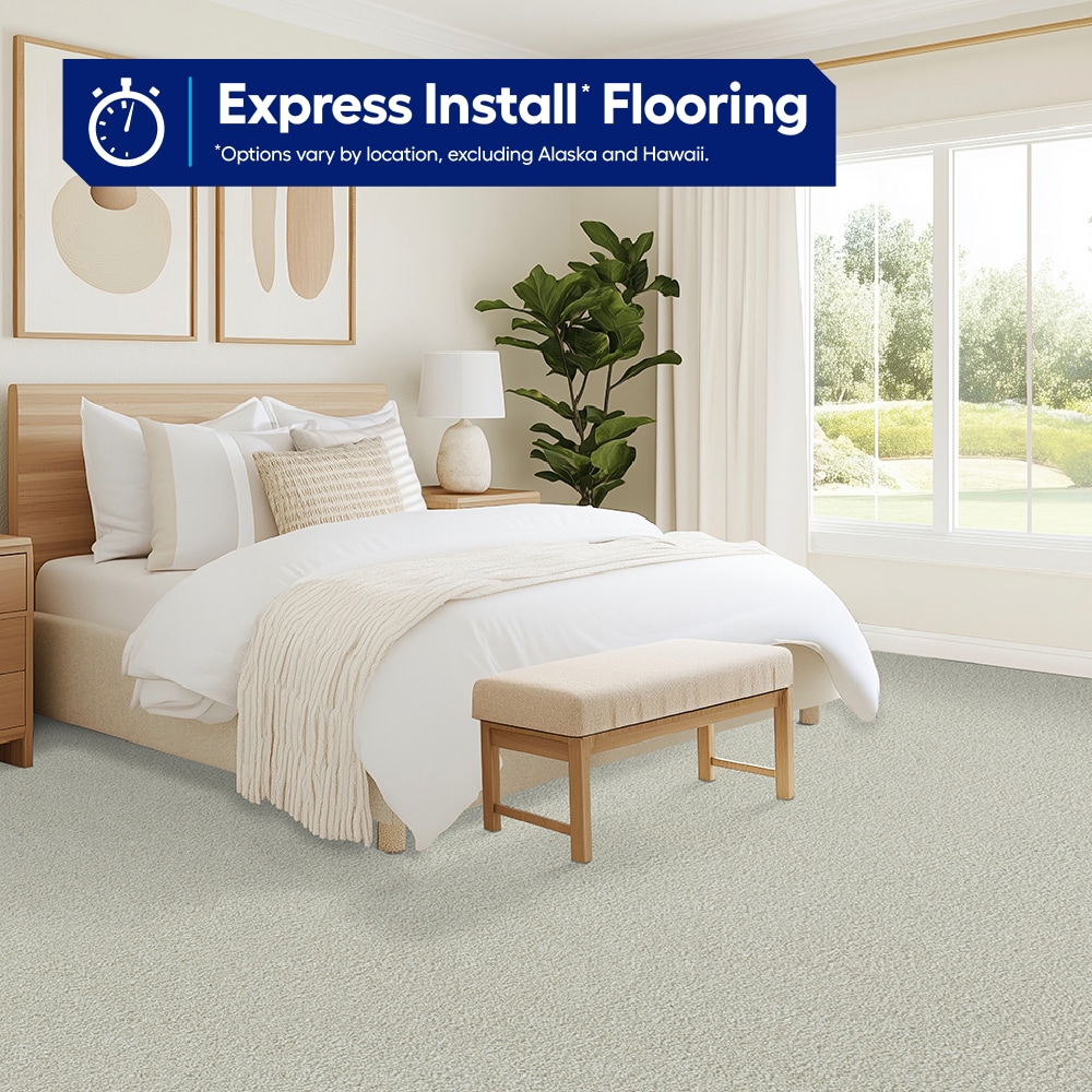 STAINMASTER PetProtect with LeakDefense Pleasant Partner III