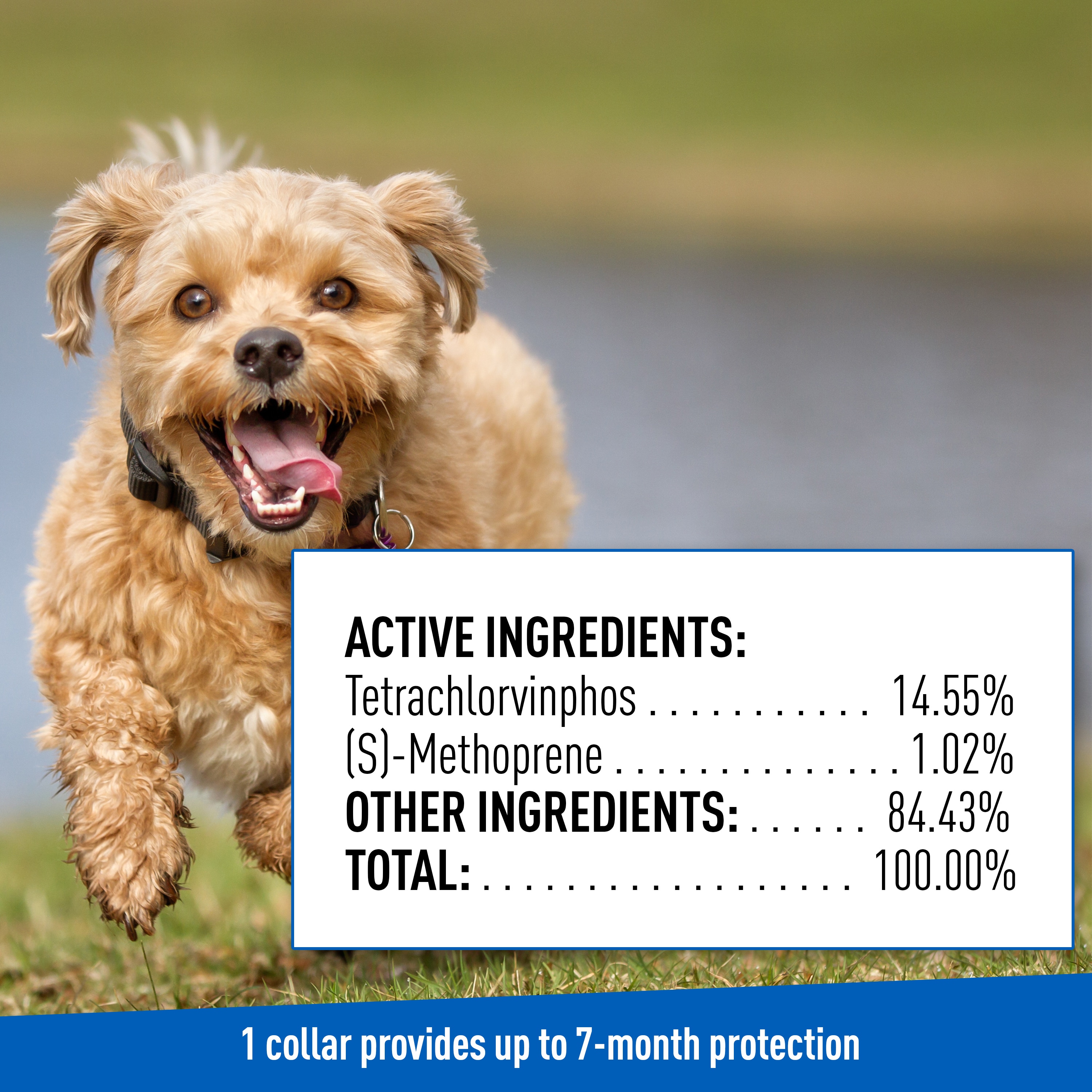 Adams 100519504 Topical-Treatments-Sham-Dogs - View #8