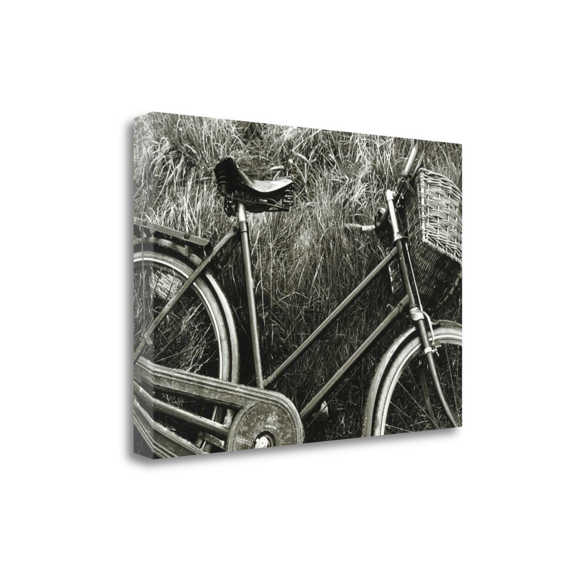 Tangletown Fine Art SBSY1097-3020C Bike I Stuart Roy 20-in H x 30-in W Travel Print on Canvas