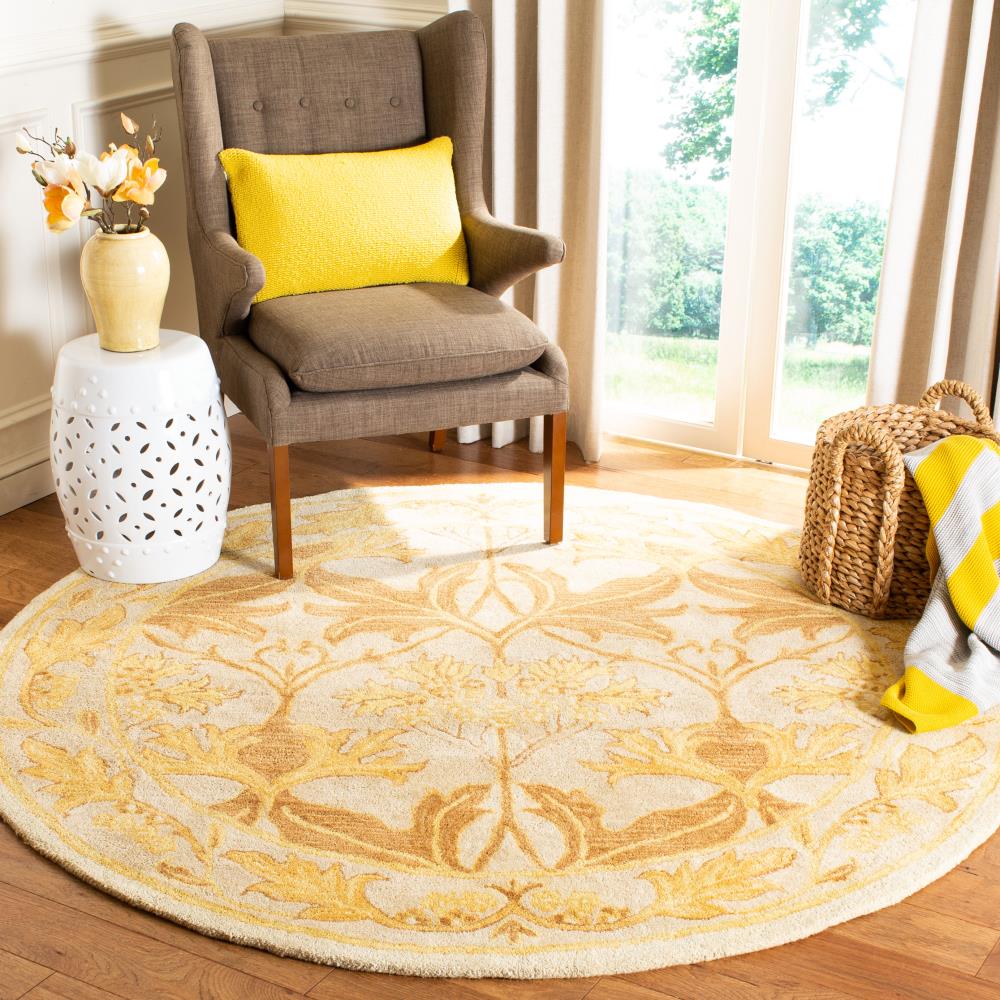 Safavieh AN541B-6R rugs - View #2