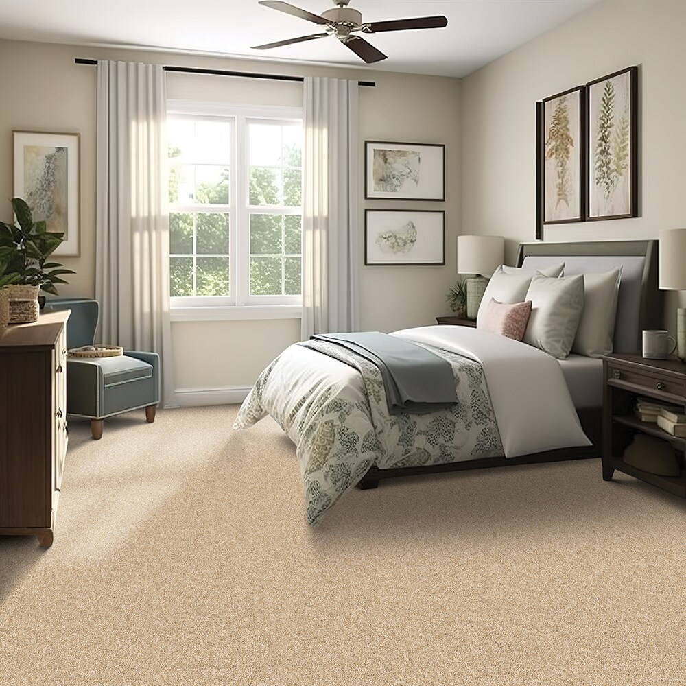 Style Selections SS016-L003-0808 Carpet-Samples - View #2