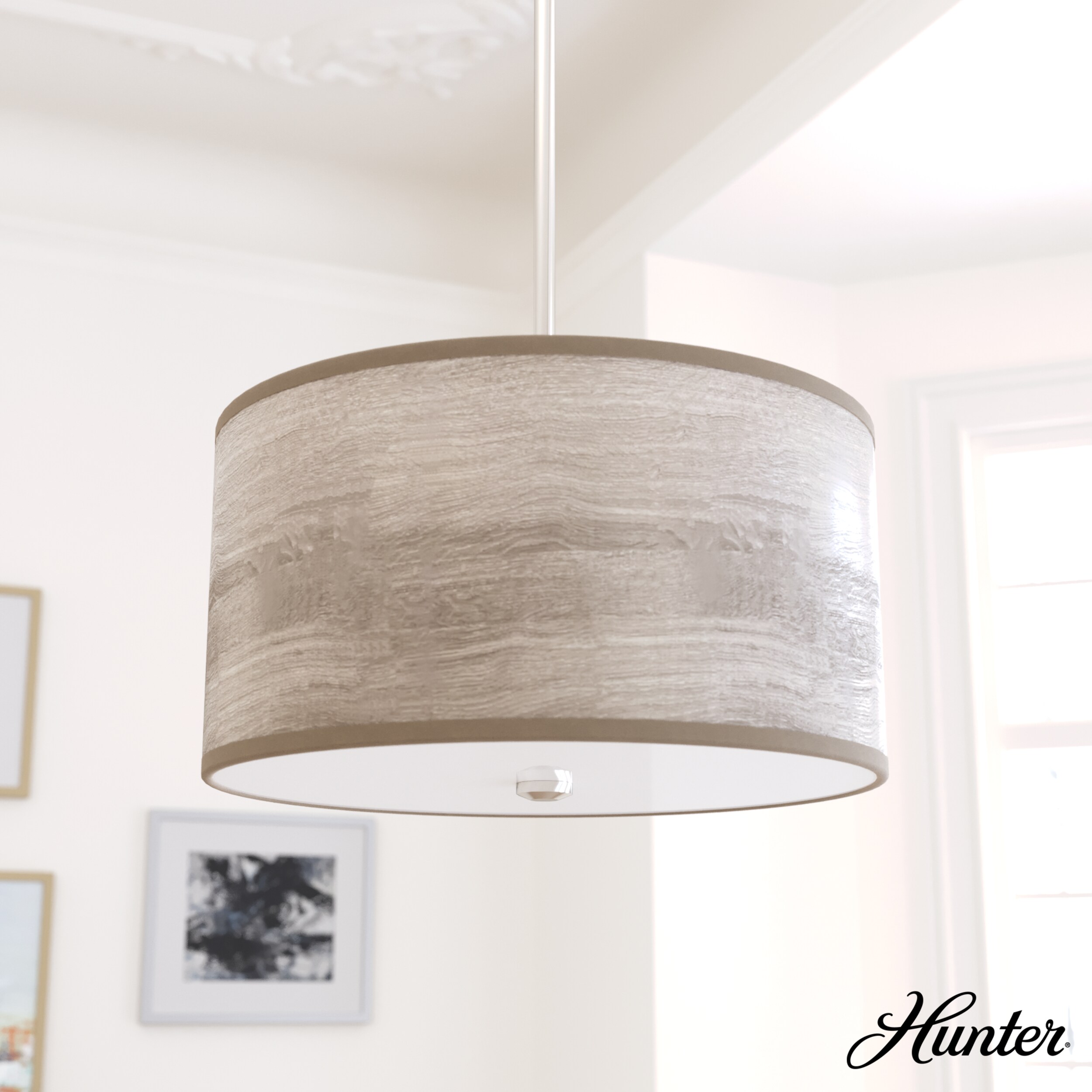 Hunter 19242 Pendant-Lights - View #3