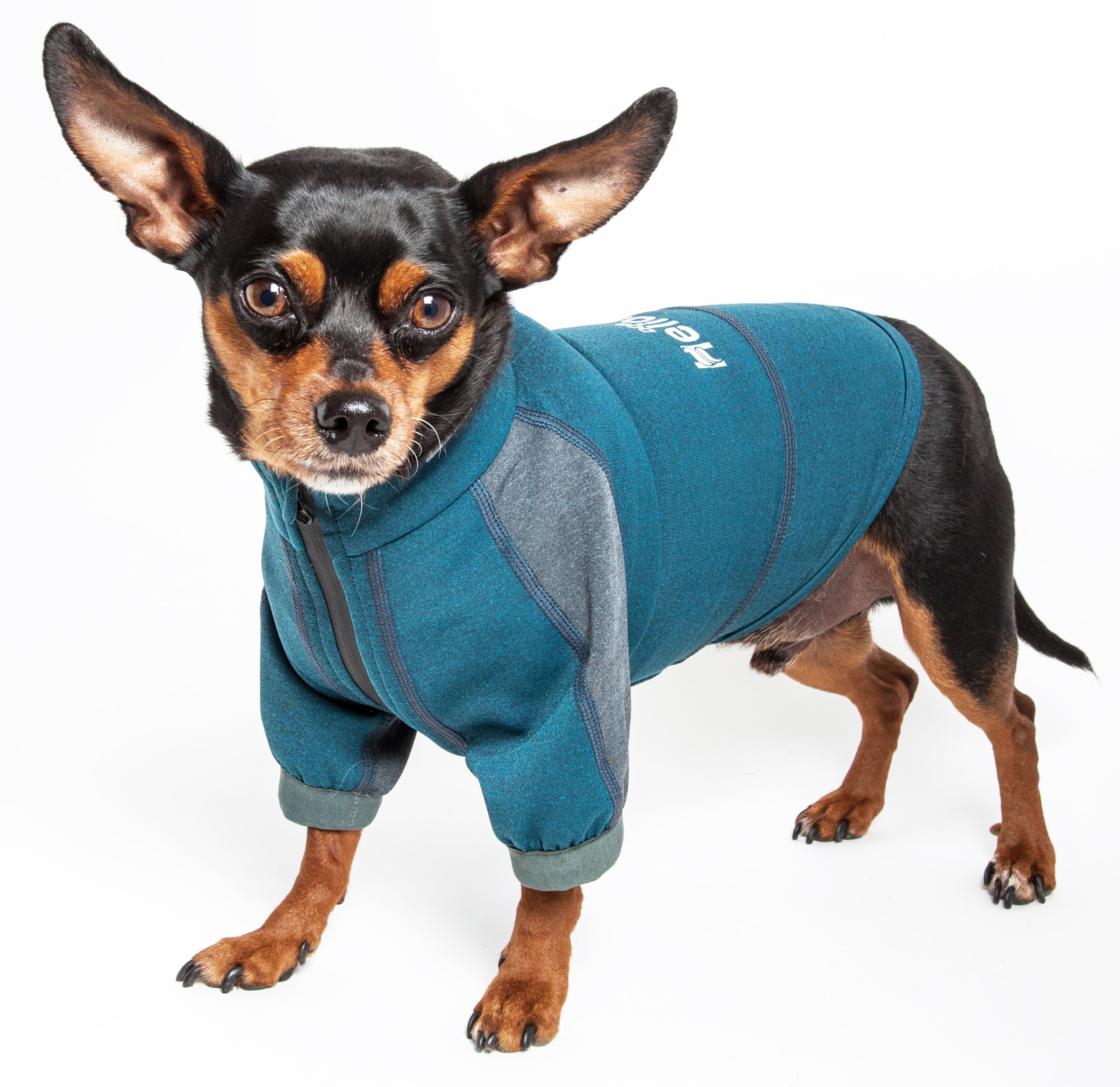 Dog Helios TSHL6BLXL Blue Dog/Cat Pet T-shirt Extra large