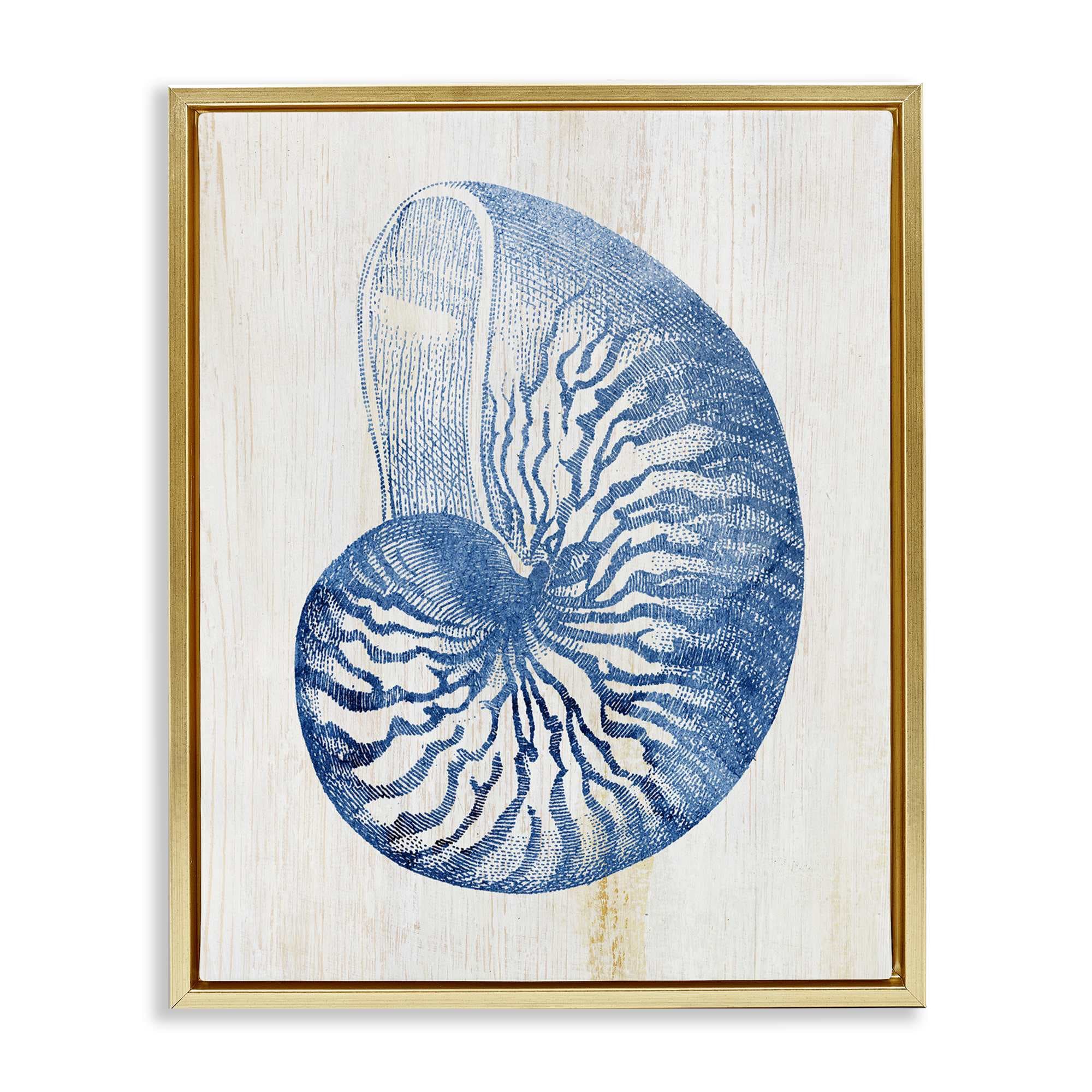 Stupell Industries BS-153-FFG-24X30 Blue Nautilus Shell Floating Frame Design by Susan Arnot