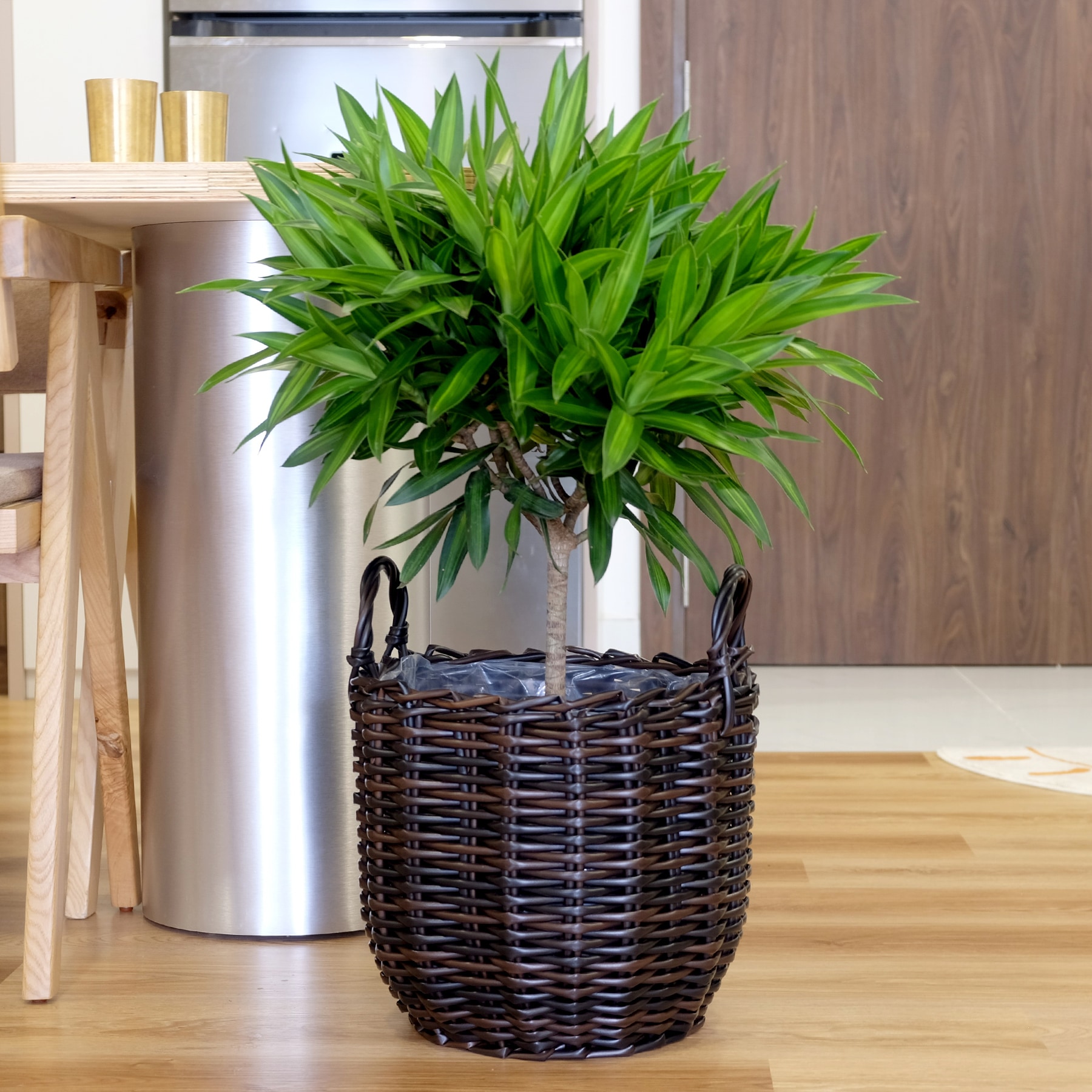 Kahomvis DTY-QPB0-687 Planter-Window-Box - View #5