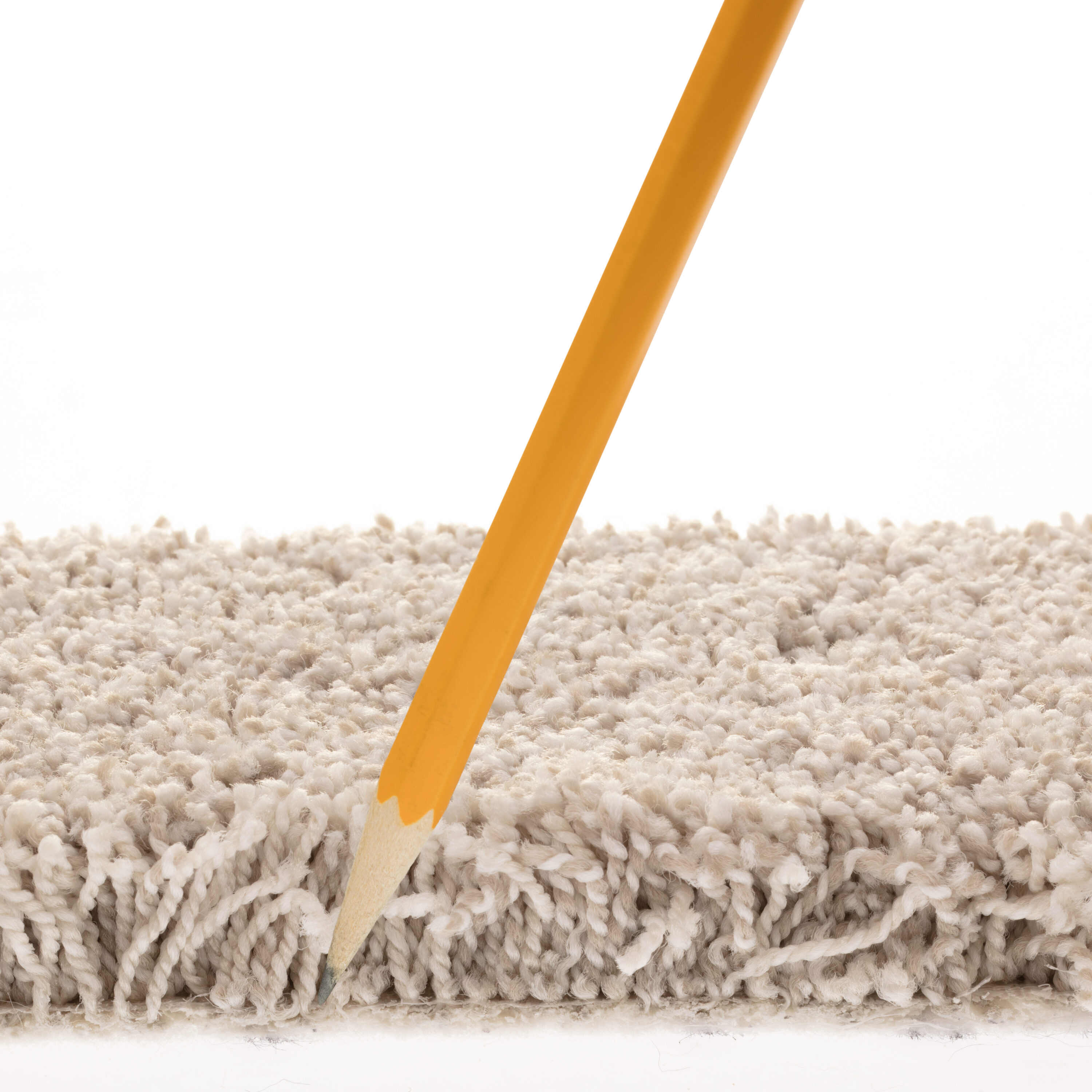 STAINMASTER 7L880 - 148 - SAMP Carpet-Samples - View #7