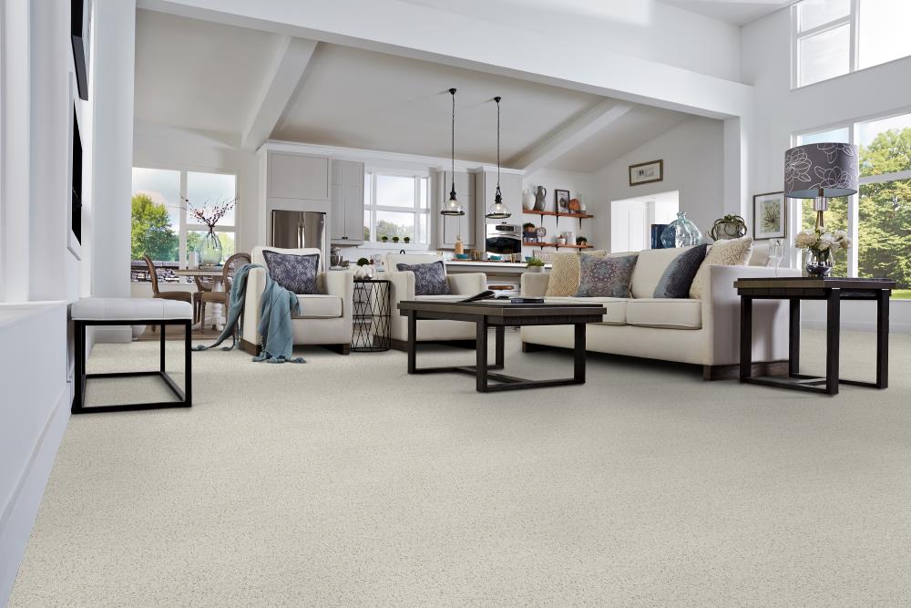 STAINMASTER DL46A-102 Carpet-Panel - View #2