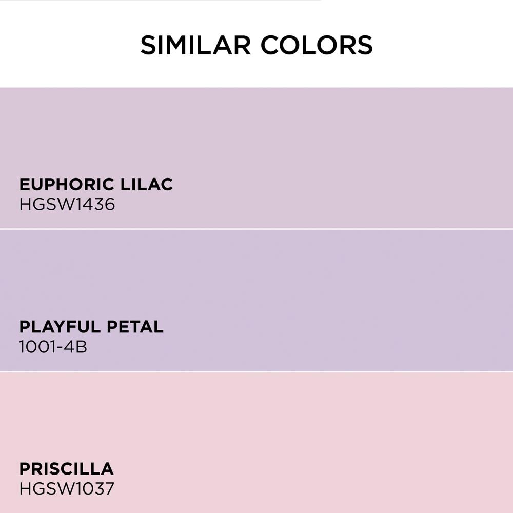 HGTV HOME by Sherwin-Williams 1004-6B-2557223 Int-Ext-Paint - View #6