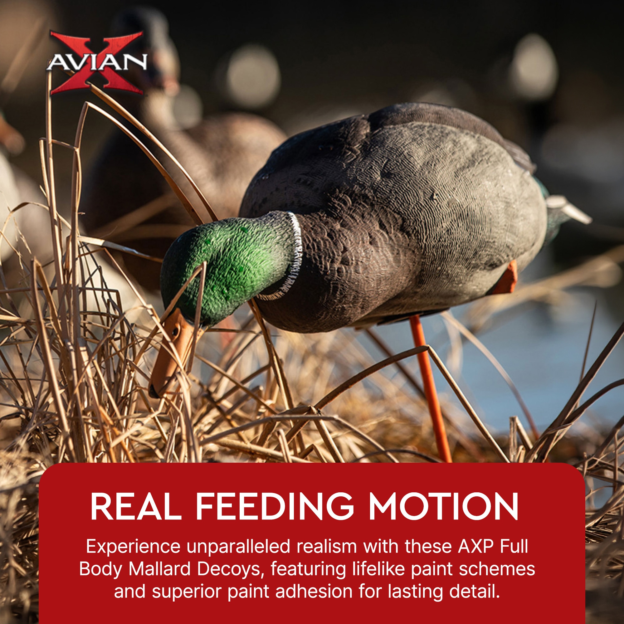 Avian X AVX-AVX8061 Hunting-Equipment - View #2