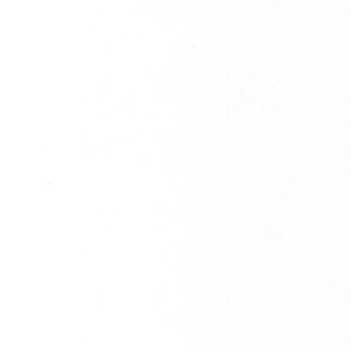 allen + roth 310069-CS Snow Drift Solid surface White Kitchen Countertop SAMPLE ( 4-in x 4-in )