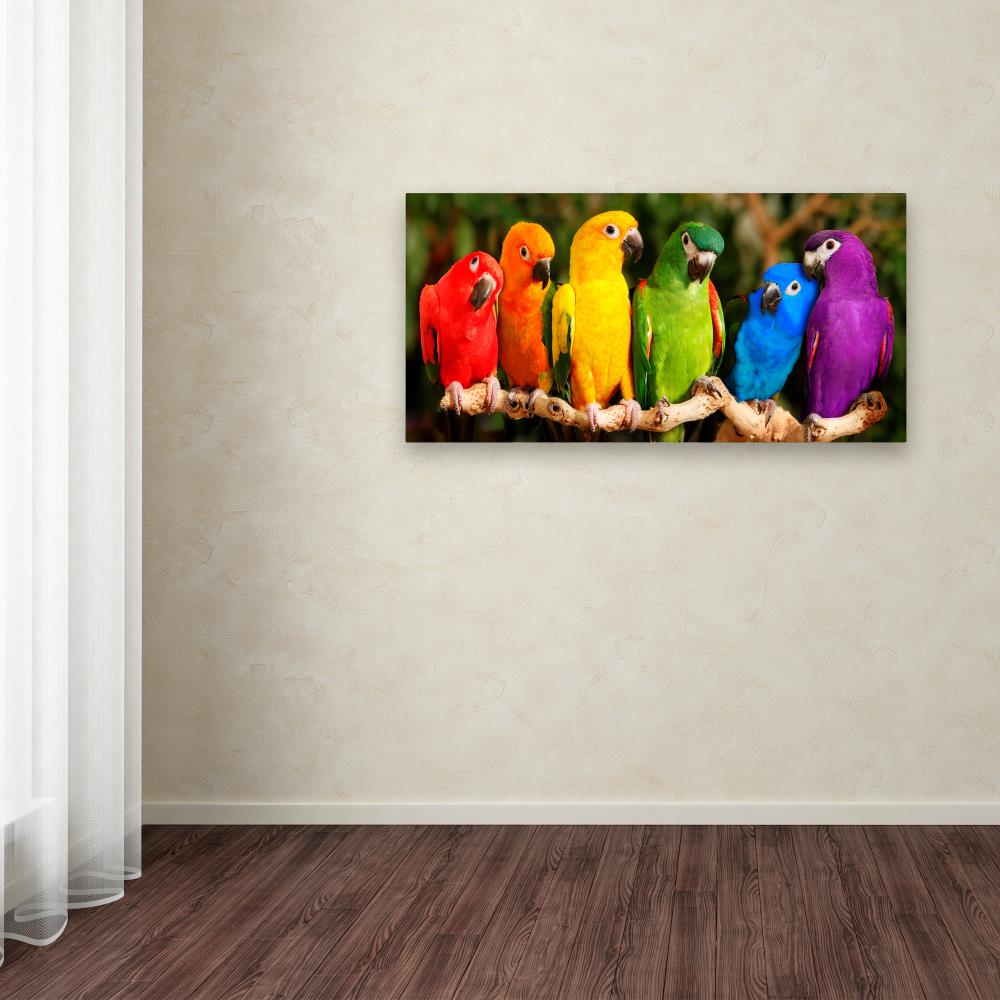 Trademark Fine Art ALI17786-C1224GG Mike Jones Photo "Rainbow Parrots" 12x24 Canvas Art Mike Jones Photo Multicolor Framed 12-Inches H x 24-Inches W Animals Canvas Print