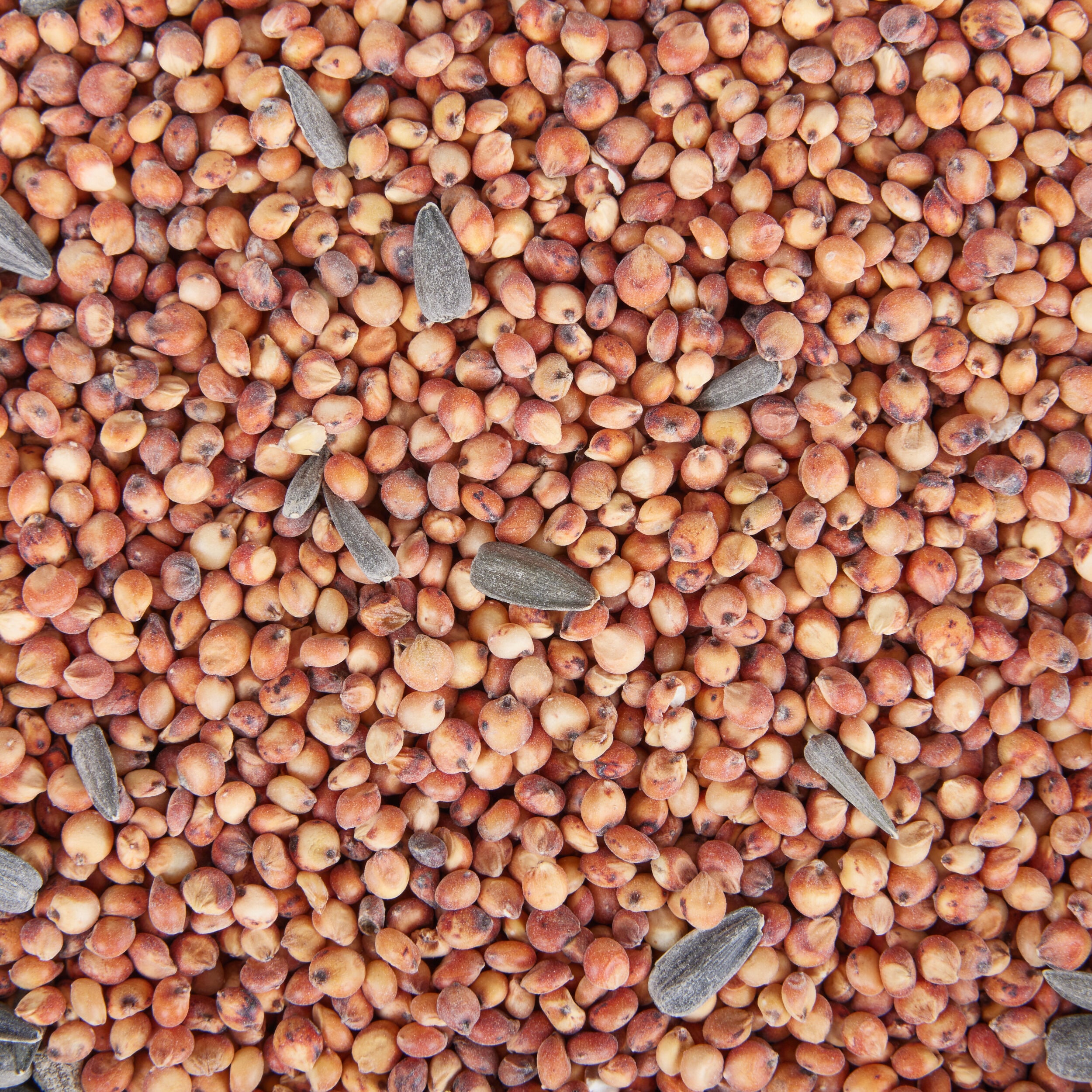 Red River Commodities 009560 Bird-Squirrel-Food - View #11