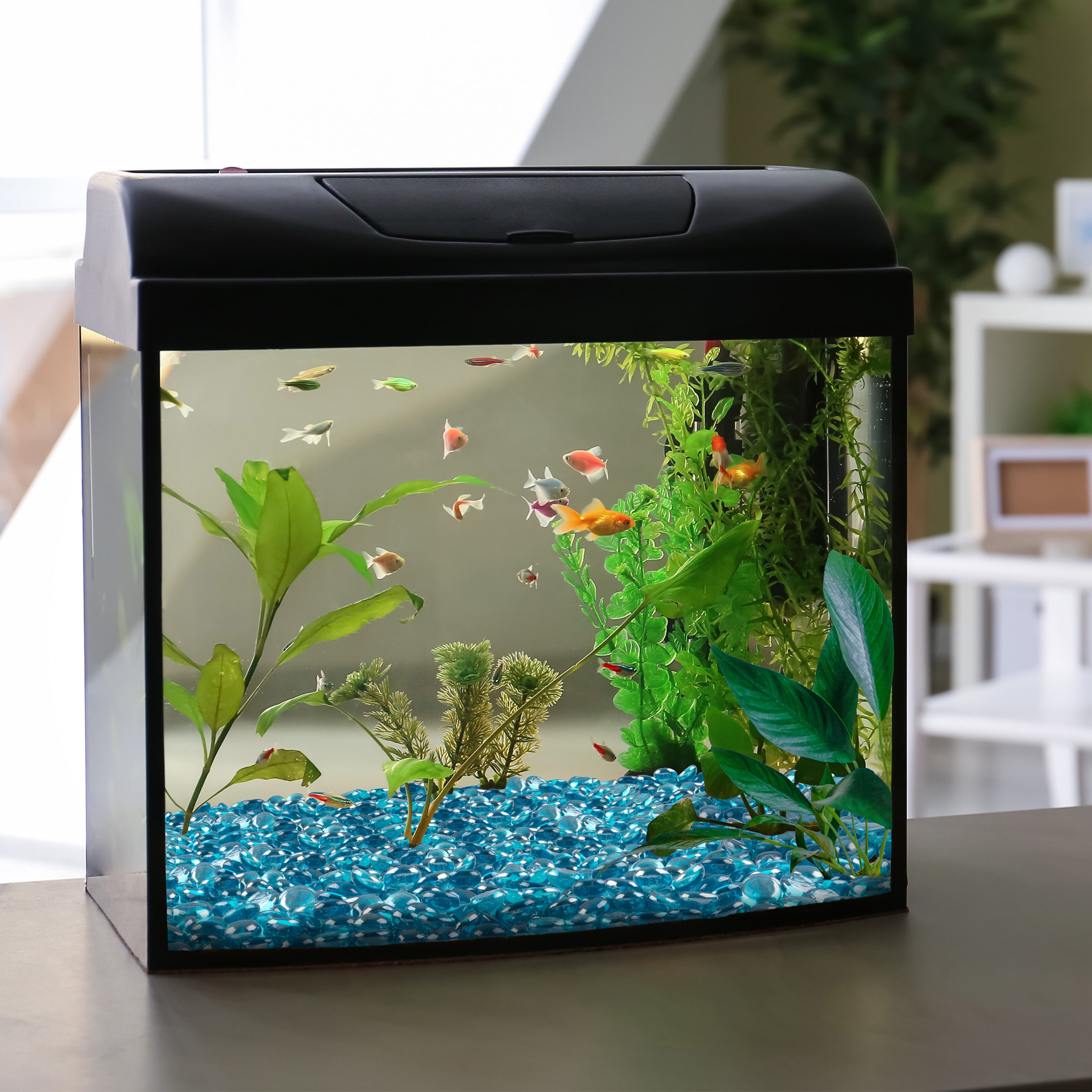 Home Complete 50-T1383 Fire-Glass - View #8