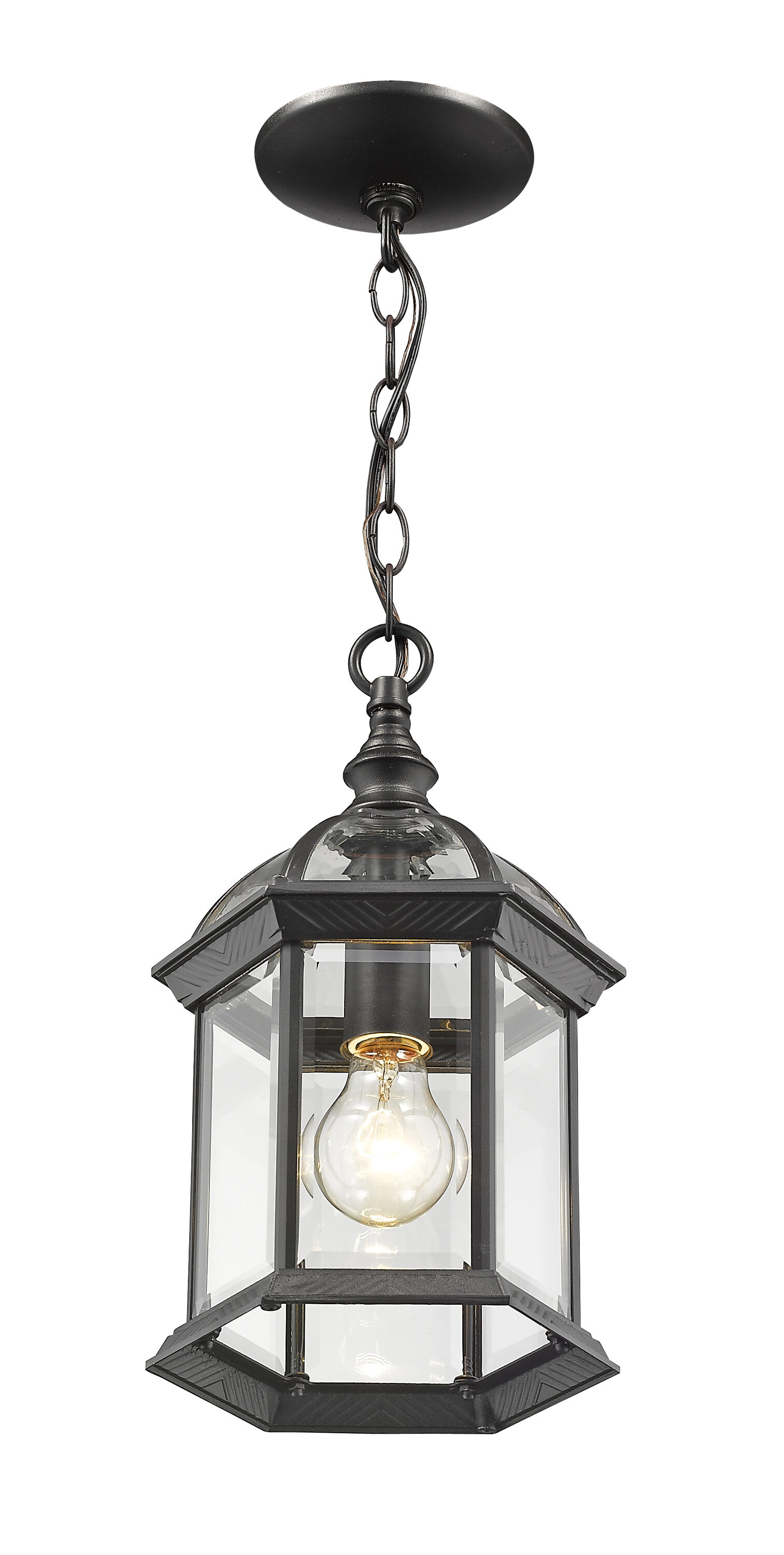 Annex Black Glass Outdoor Mini Pendant Light
