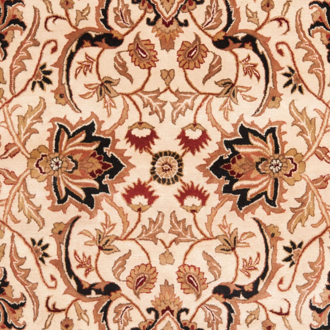 Safavieh PL523D-10 rugs - View #4