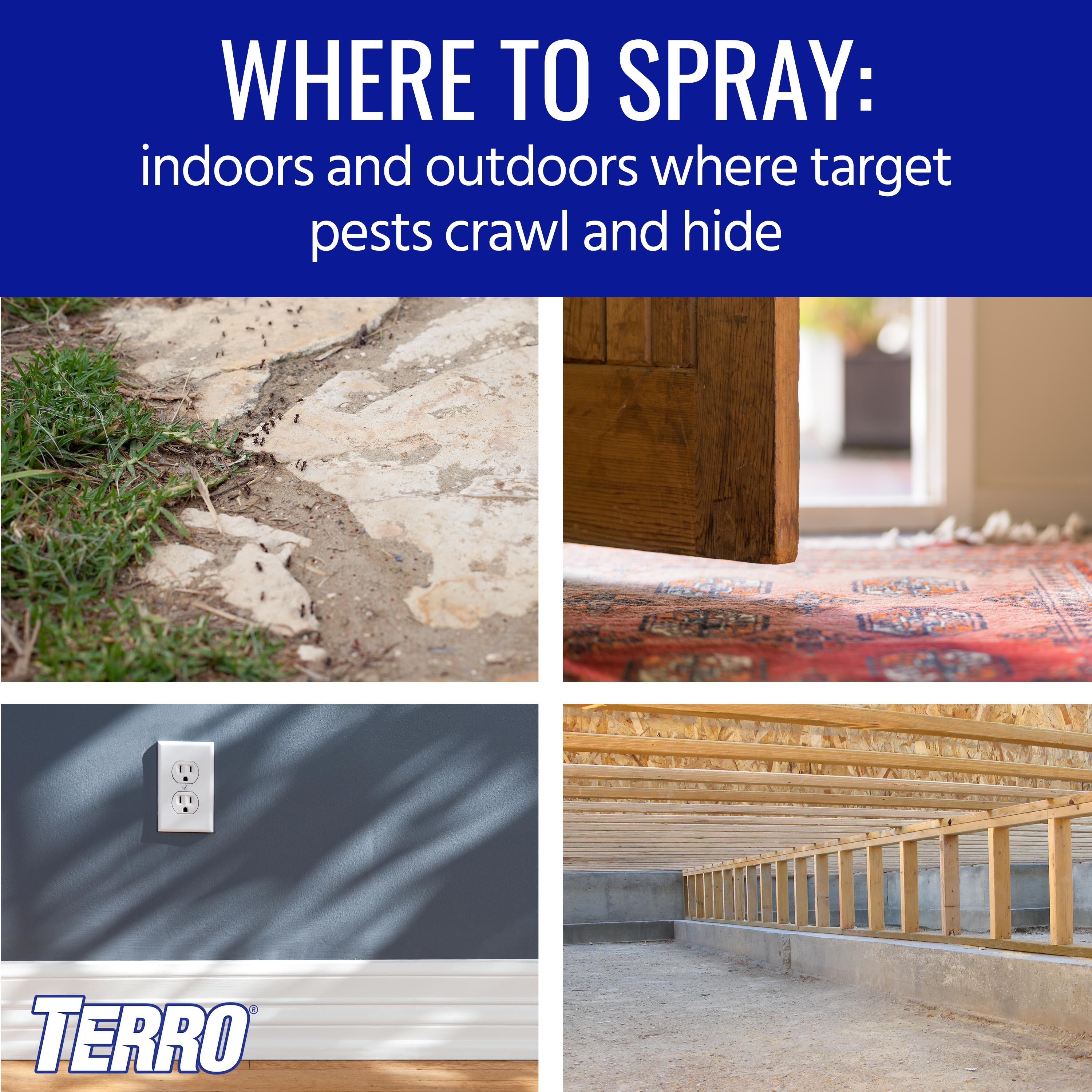 Terro Aerosol Spider Killer 16 oz