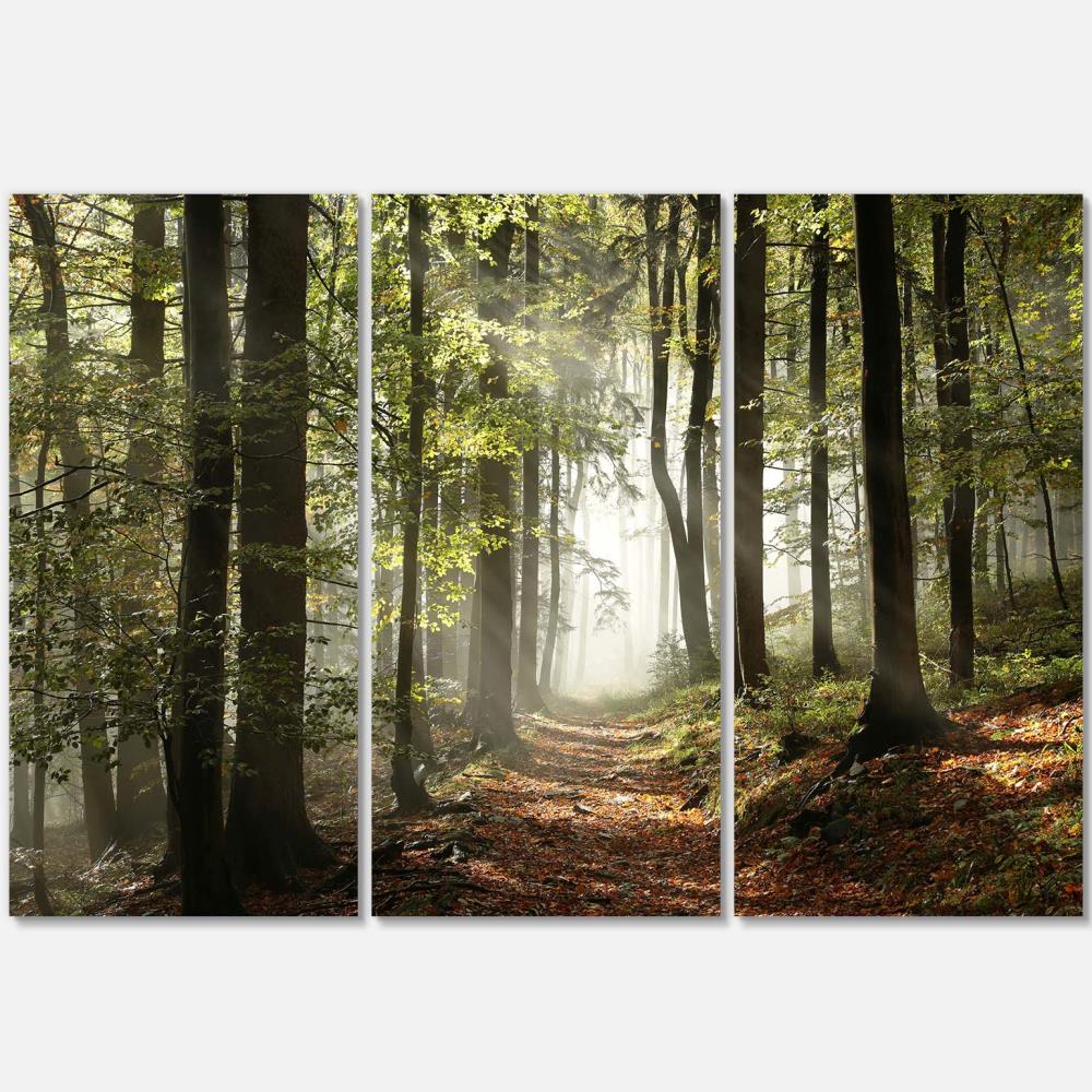 Designart PT9742-3P 28-Inches H x 36-Inches W Landscape Canvas Print