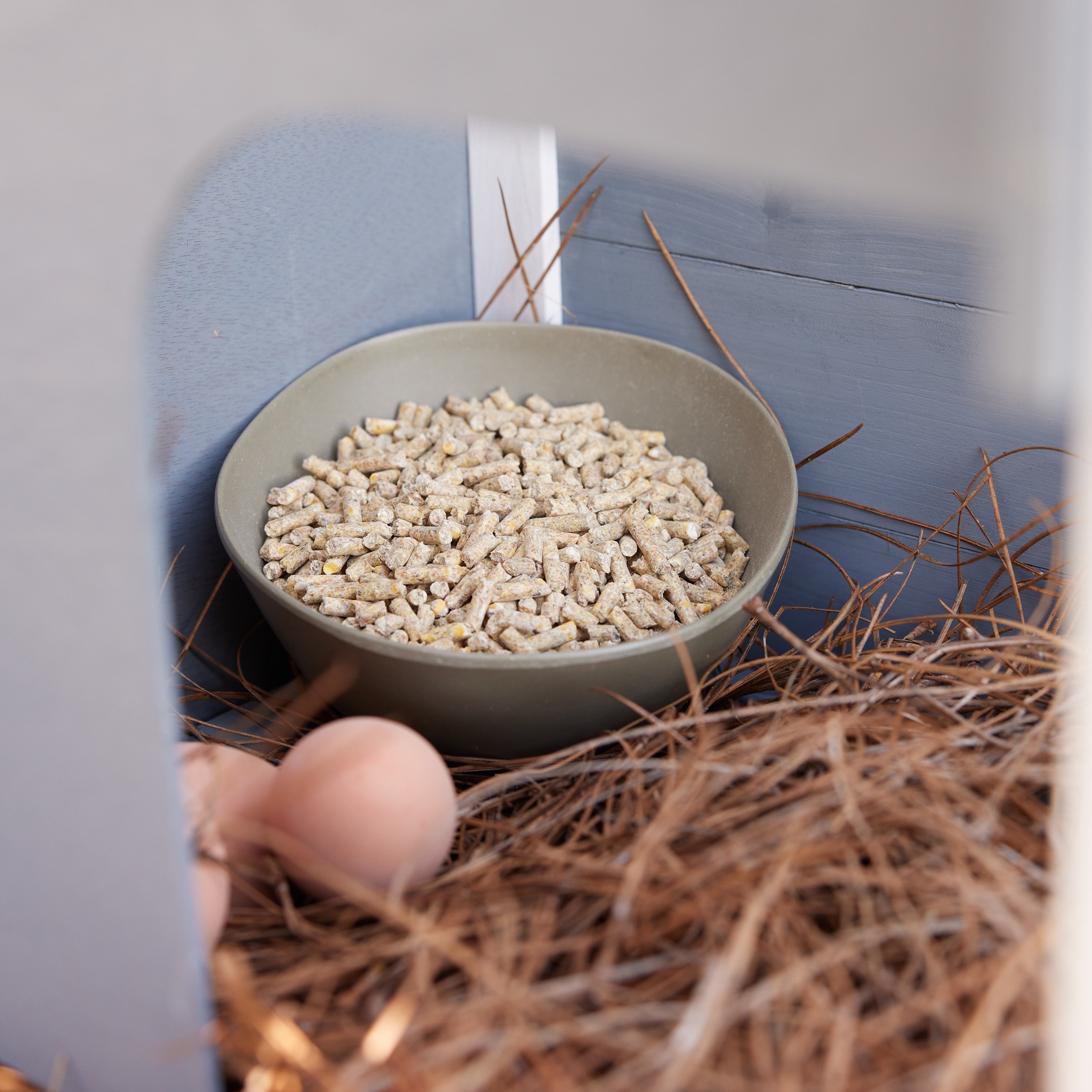 Pecking Order 009671 Poultry-Feed - View #6