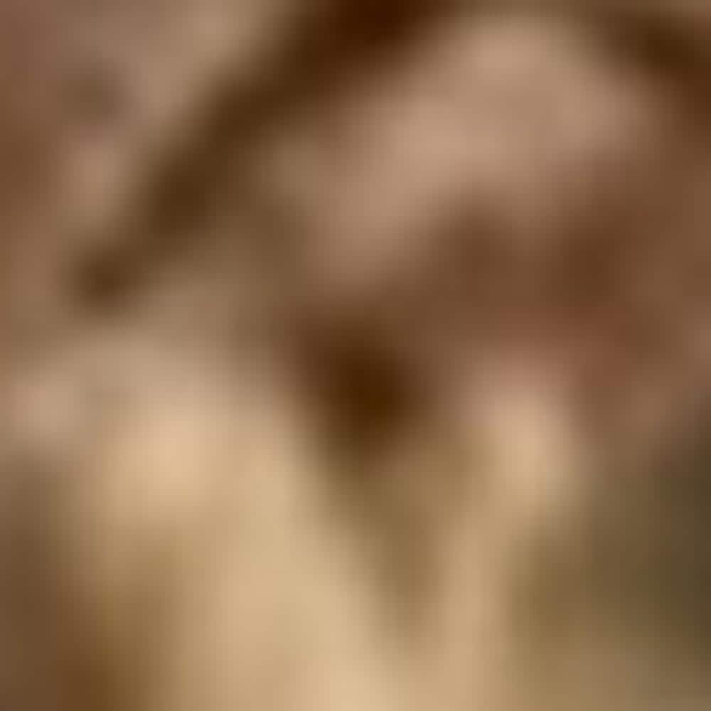 HomeRoots 4000385354 rugs - View #7