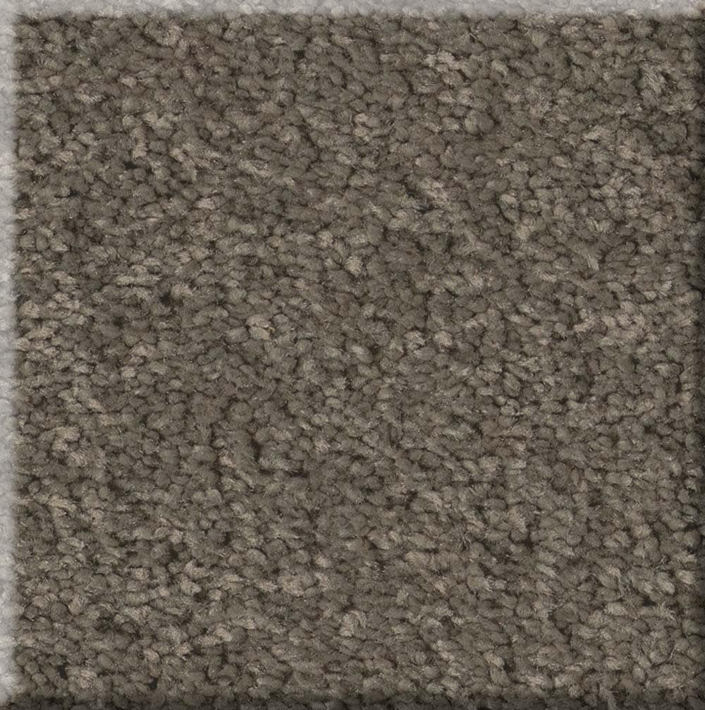 STAINMASTER 7L87200703 Chic Dreams I Portobello Brown 44.9-oz sq yard Polyester Textured Indoor Carpet