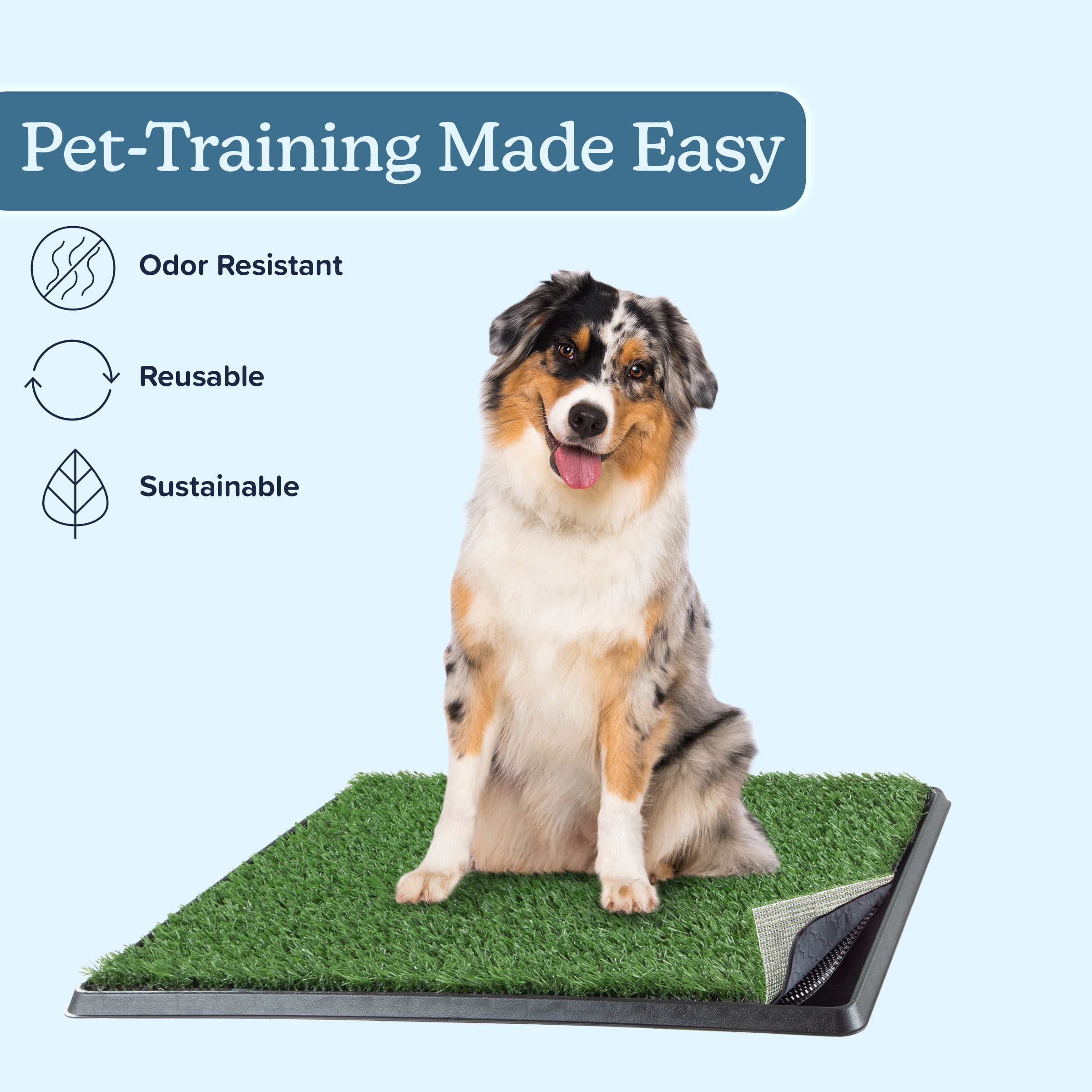 Medium Artificial Grass Puppy Pee Pad with Tray Set
