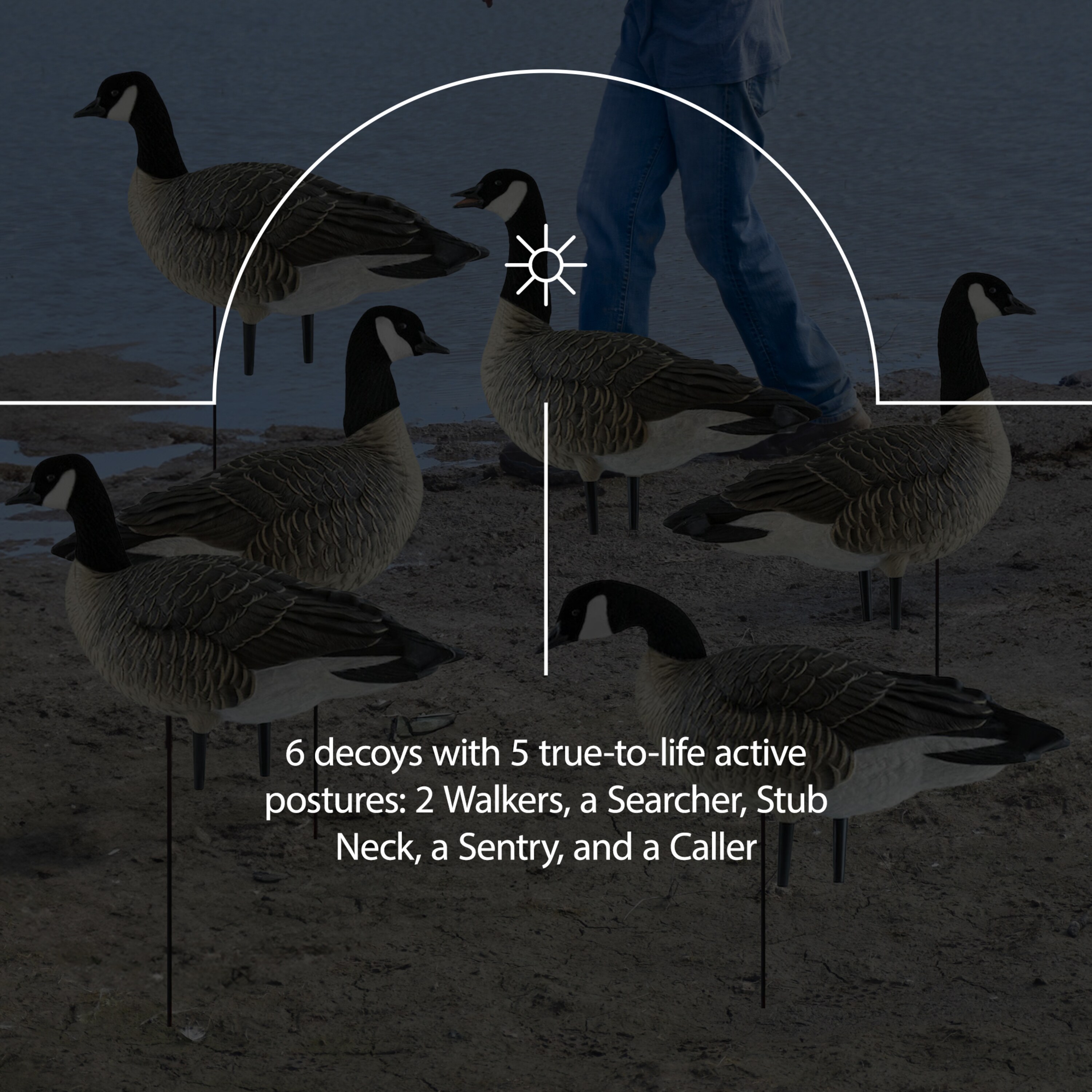  Avian X 399279 Hunting-Equipment - View #4