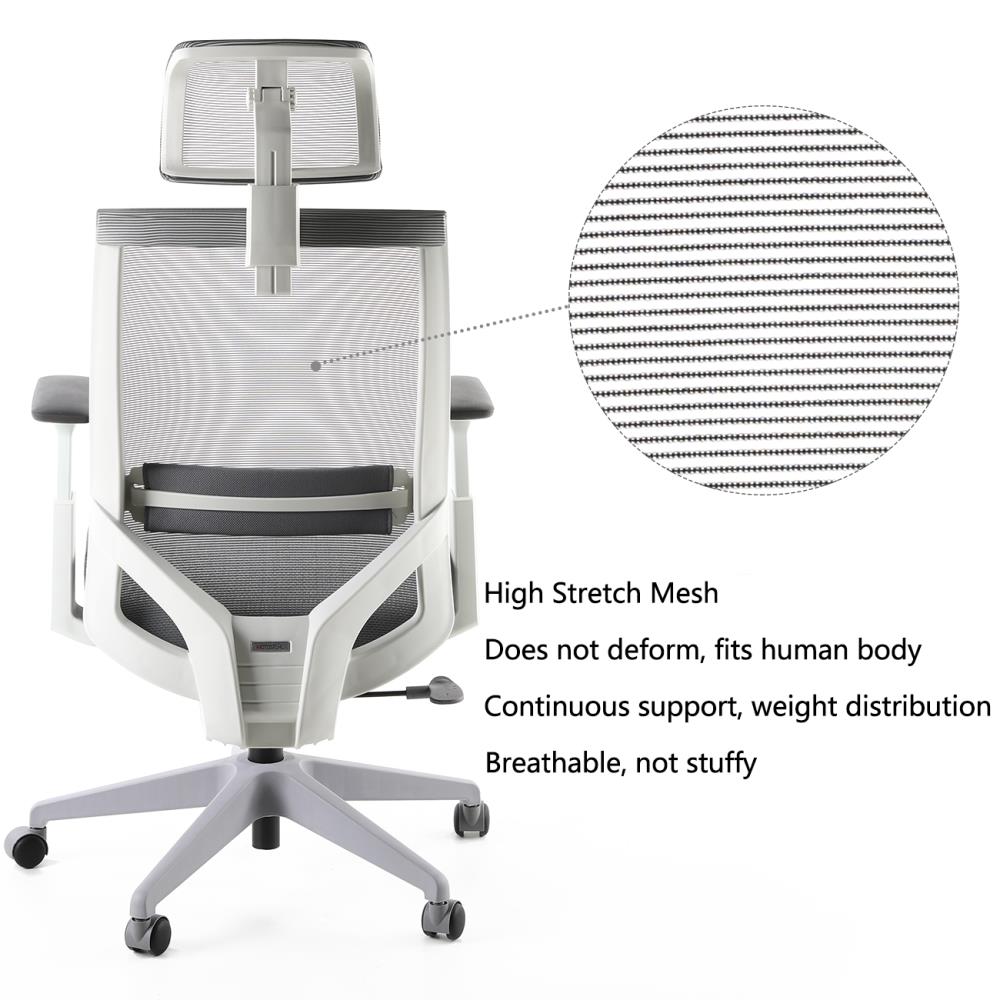 ergox studio chair