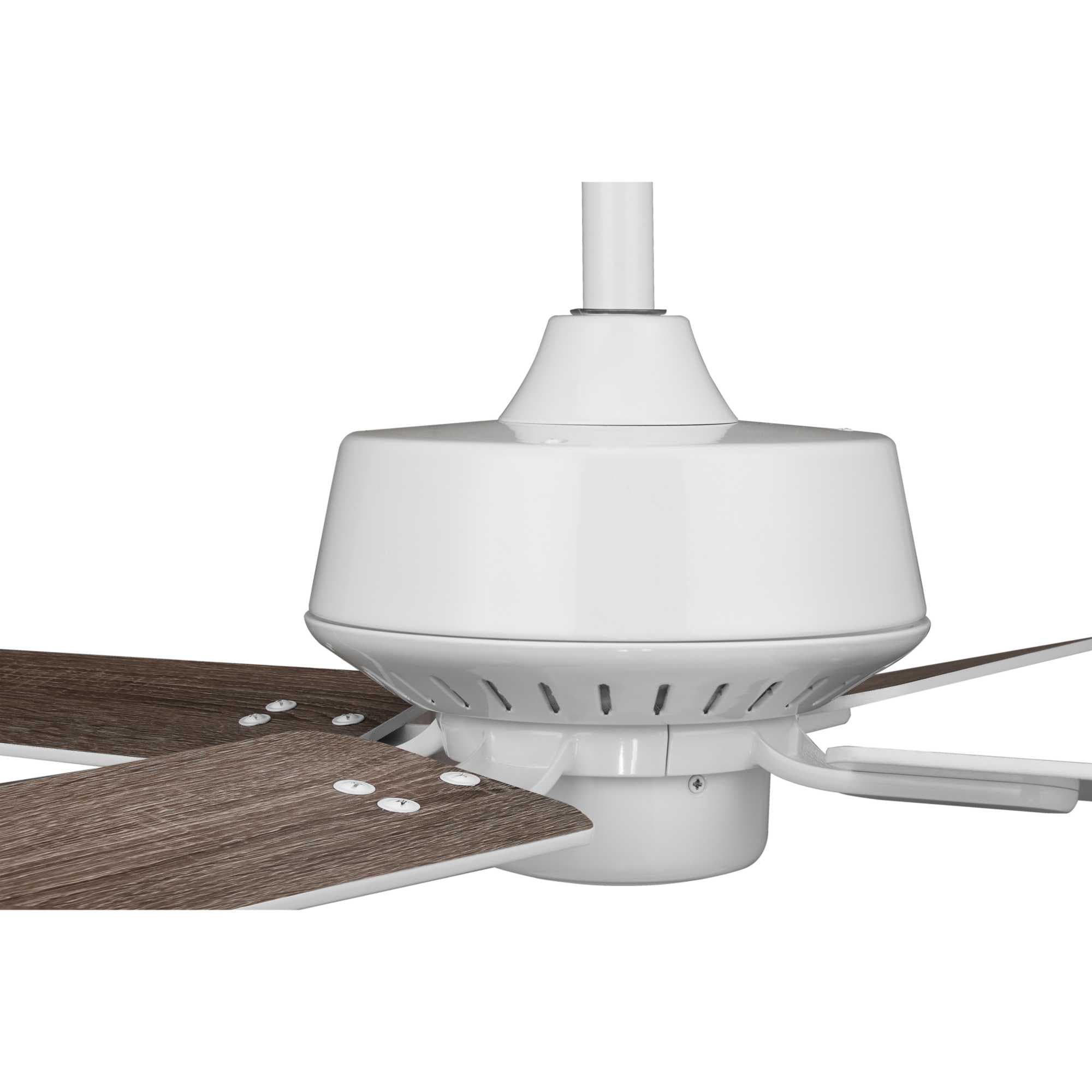 Progress Lighting P250008-030 Ceiling-Fans - View #8
